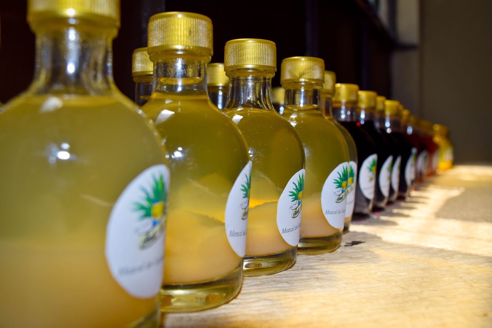 Nikon D5300 sample photo. Mezcal, tequila, mexico photography