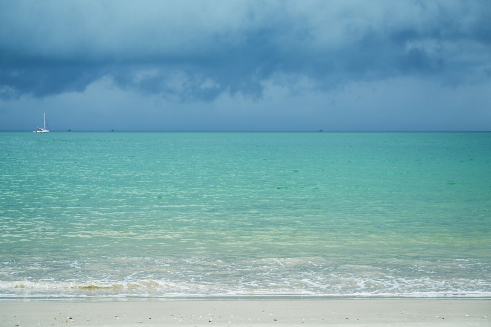 Sony a7R II sample photo. Marine, background, texture photography