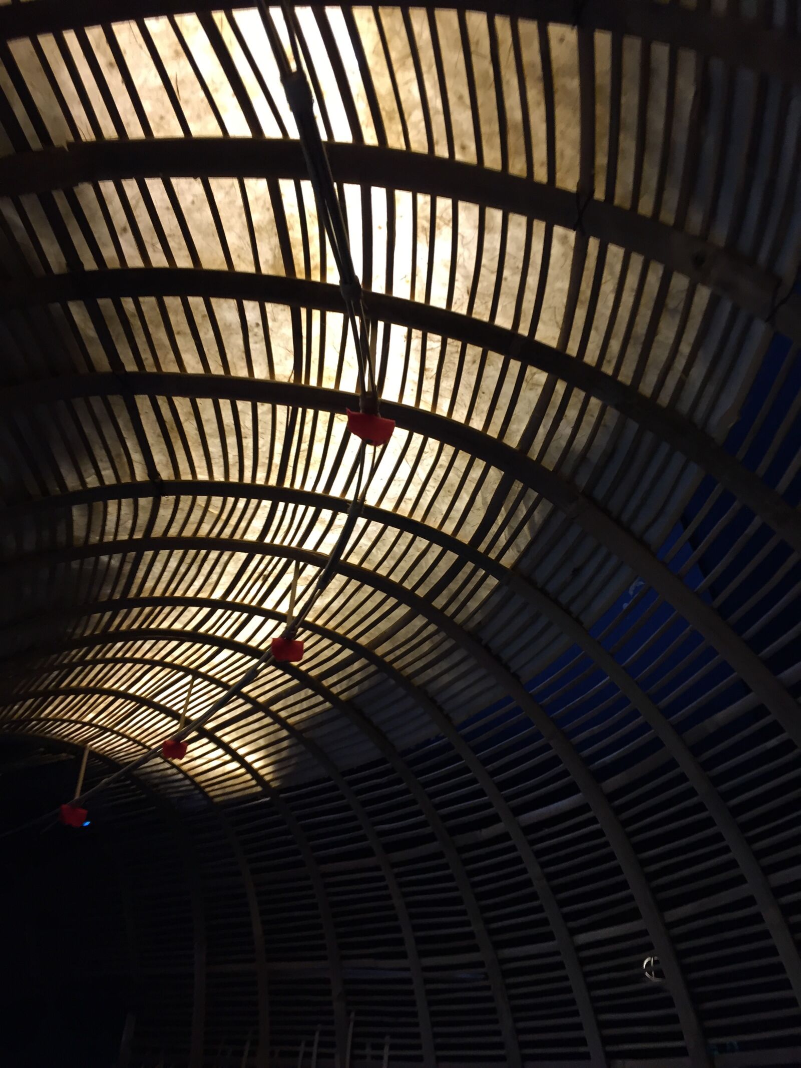 iPhone 6 back camera 4.15mm f/2.2 sample photo. Art, architecture, bamboo photography