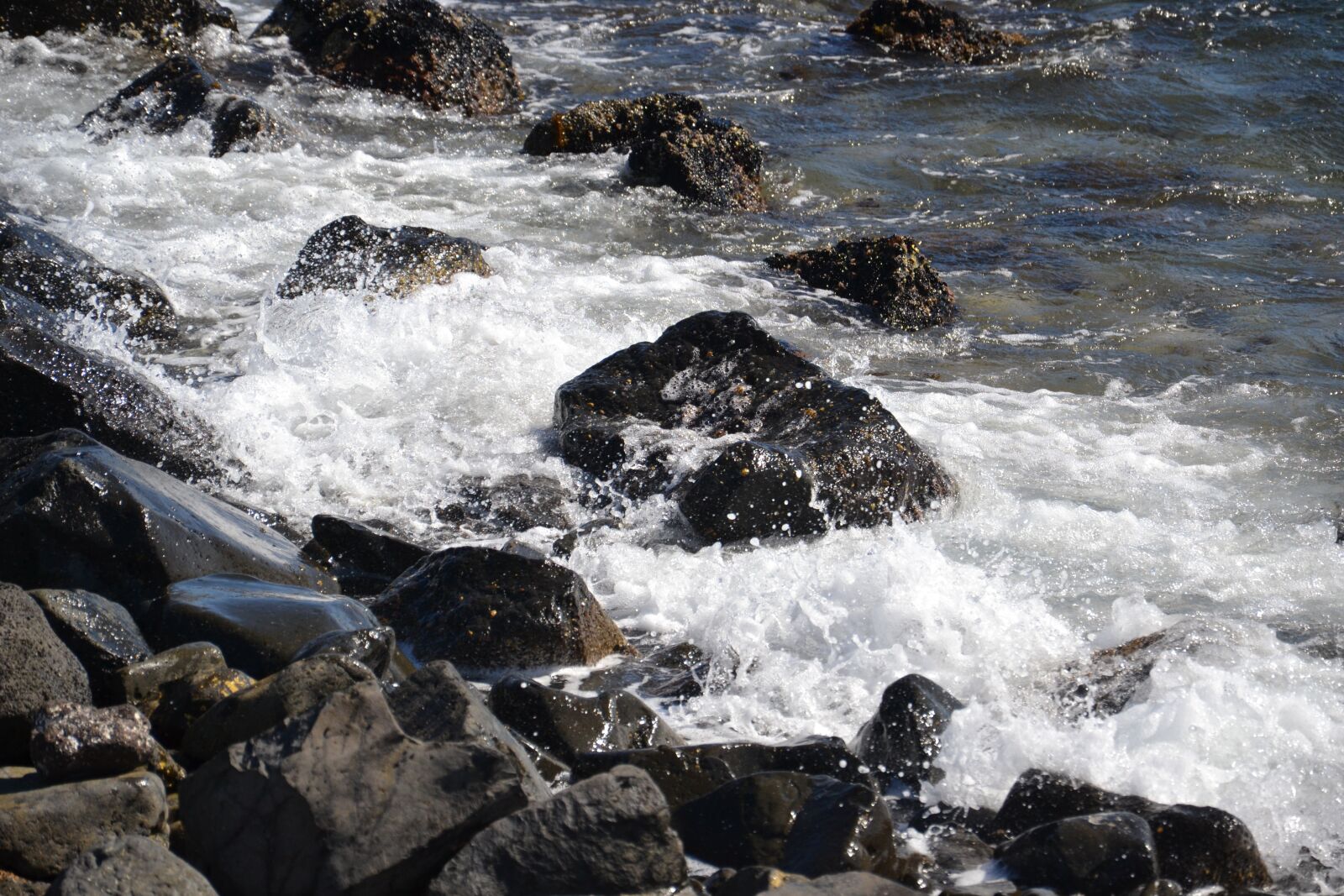 Nikon D3100 sample photo. Sea, rock, scum photography