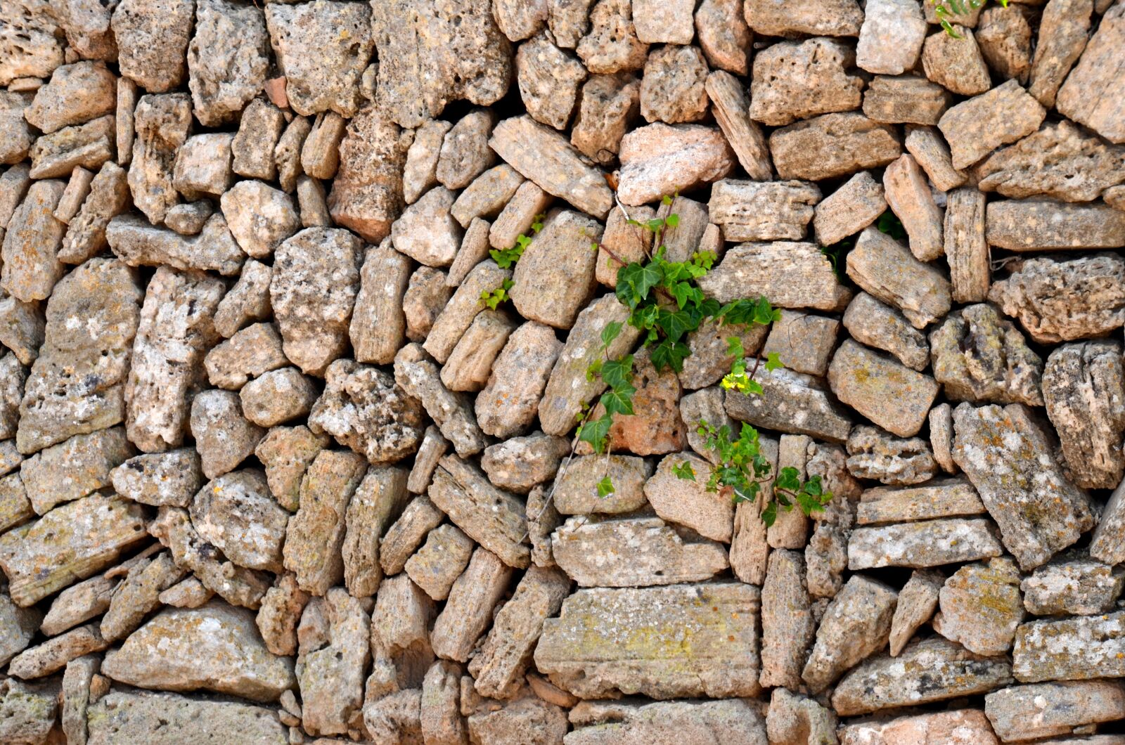 Nikon D5100 sample photo. Stones, wall, stone wall photography