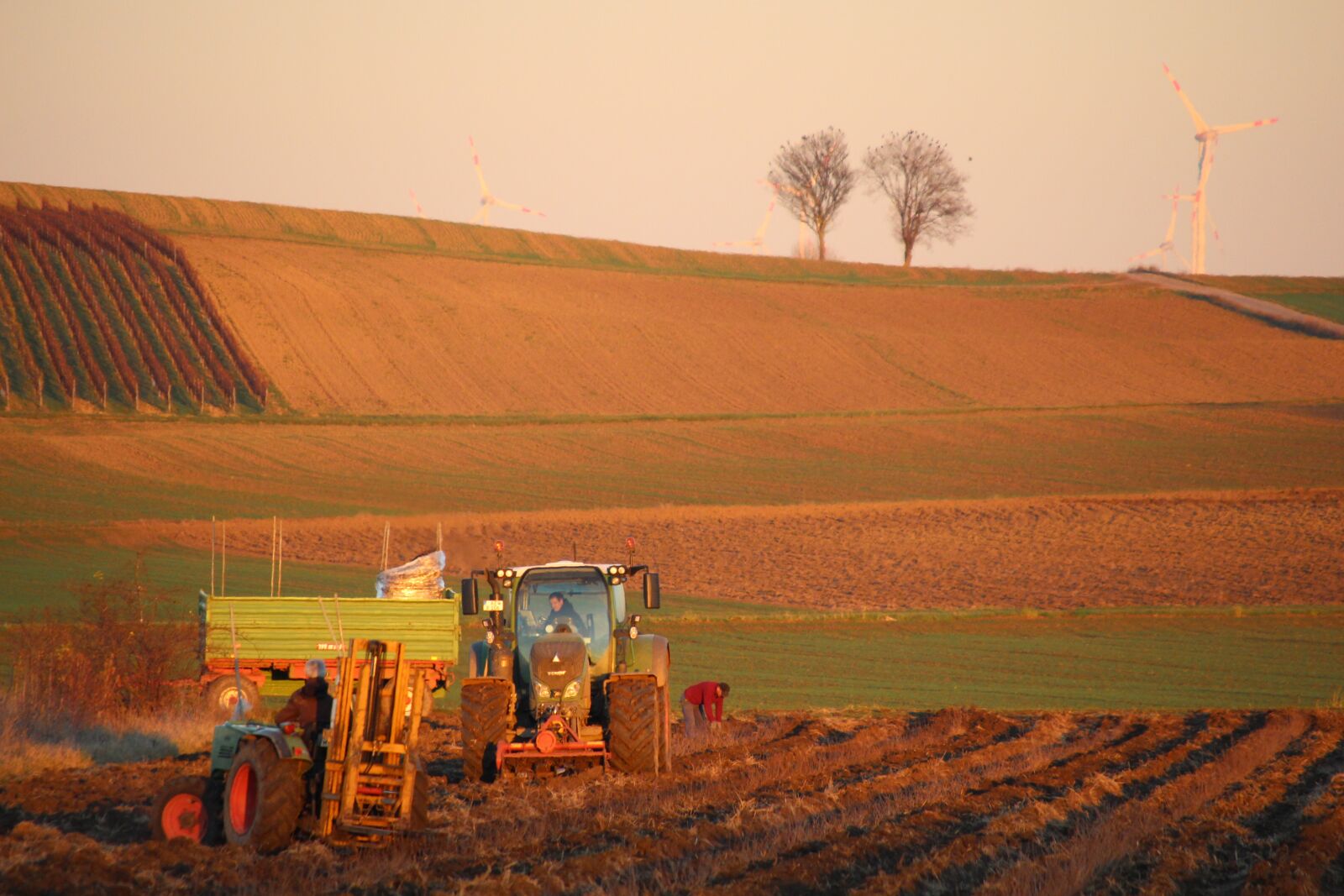 Canon EOS 700D (EOS Rebel T5i / EOS Kiss X7i) sample photo. Agriculture, tractor, nature photography
