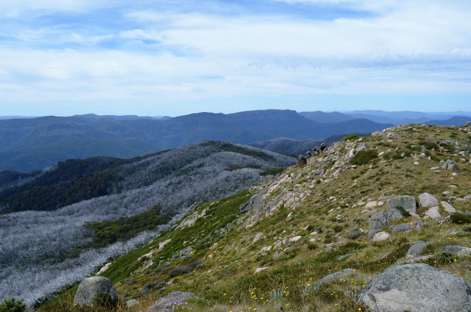 Nikon D5100 sample photo. Nature, mount buller, outdoor photography