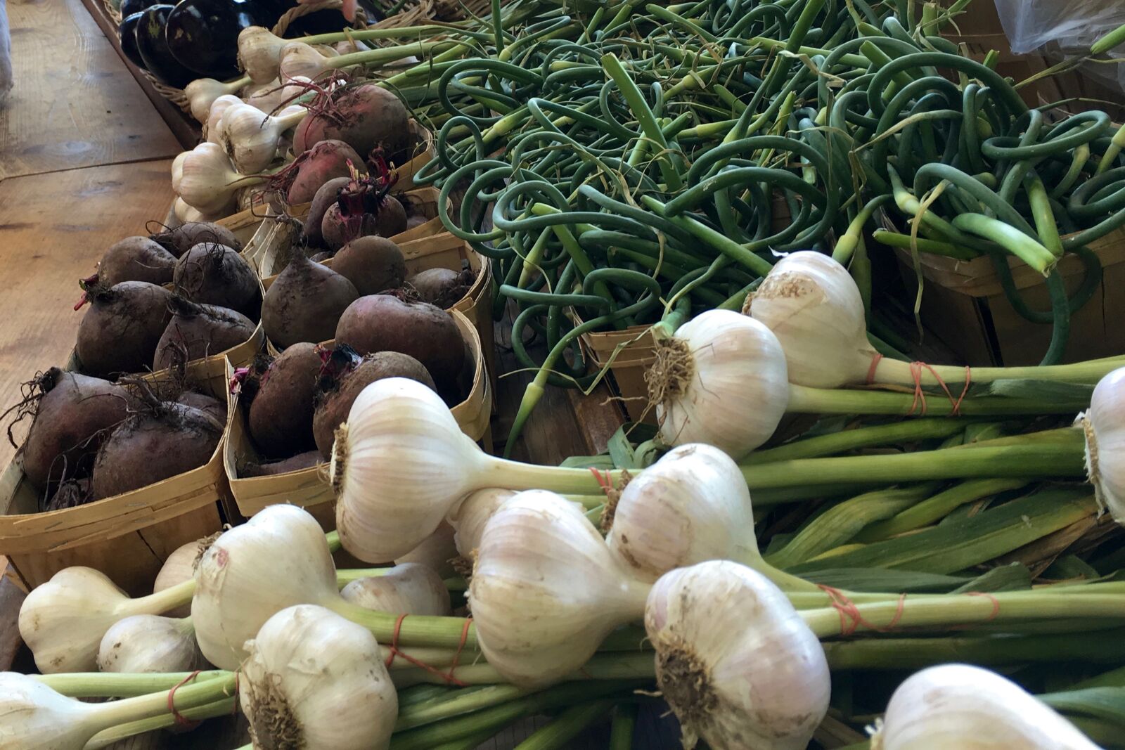 Apple iPhone 6s sample photo. Beets, garlic, garlic, flower photography