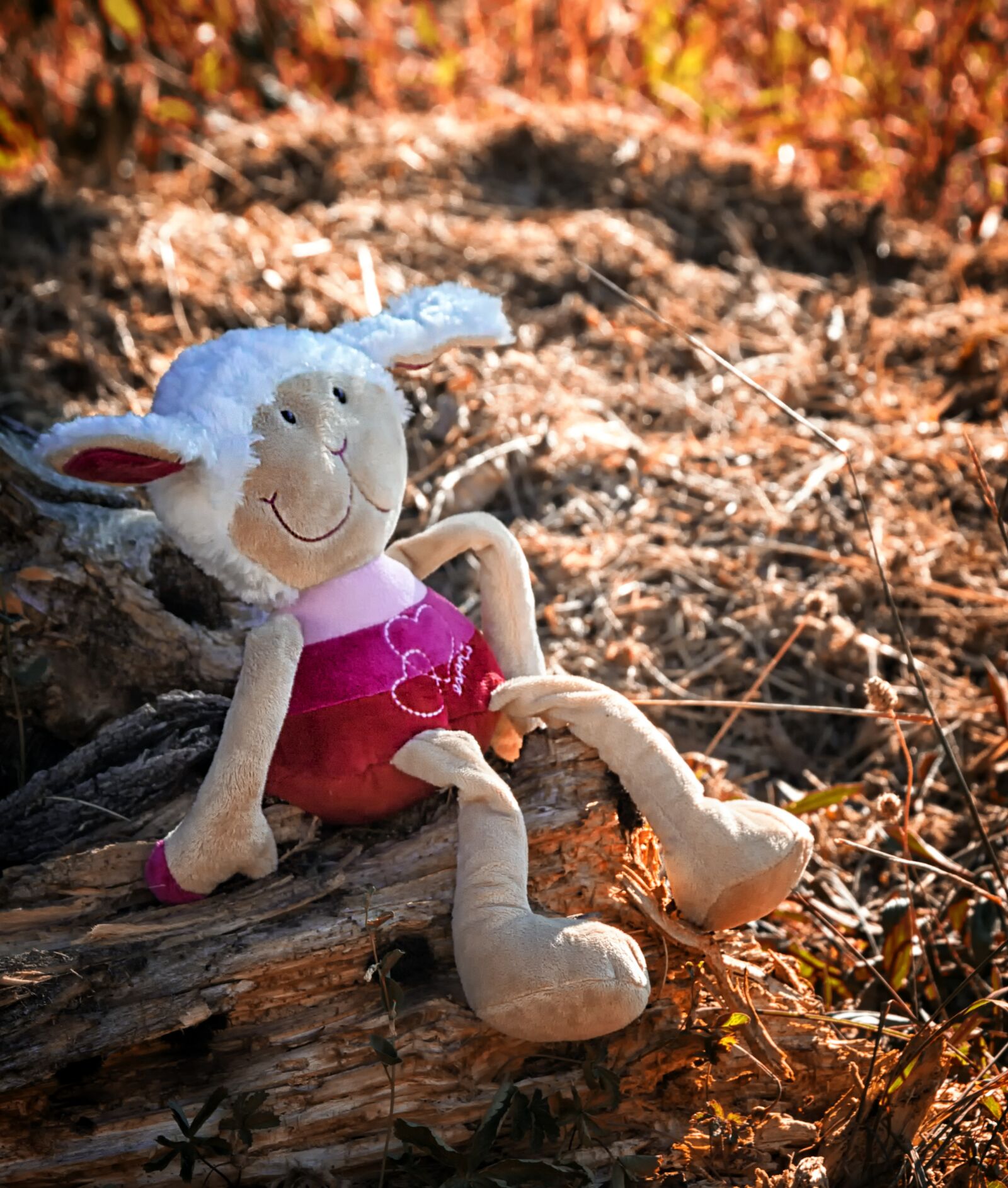 Canon EOS 650D (EOS Rebel T4i / EOS Kiss X6i) sample photo. Plush, doudou, child photography