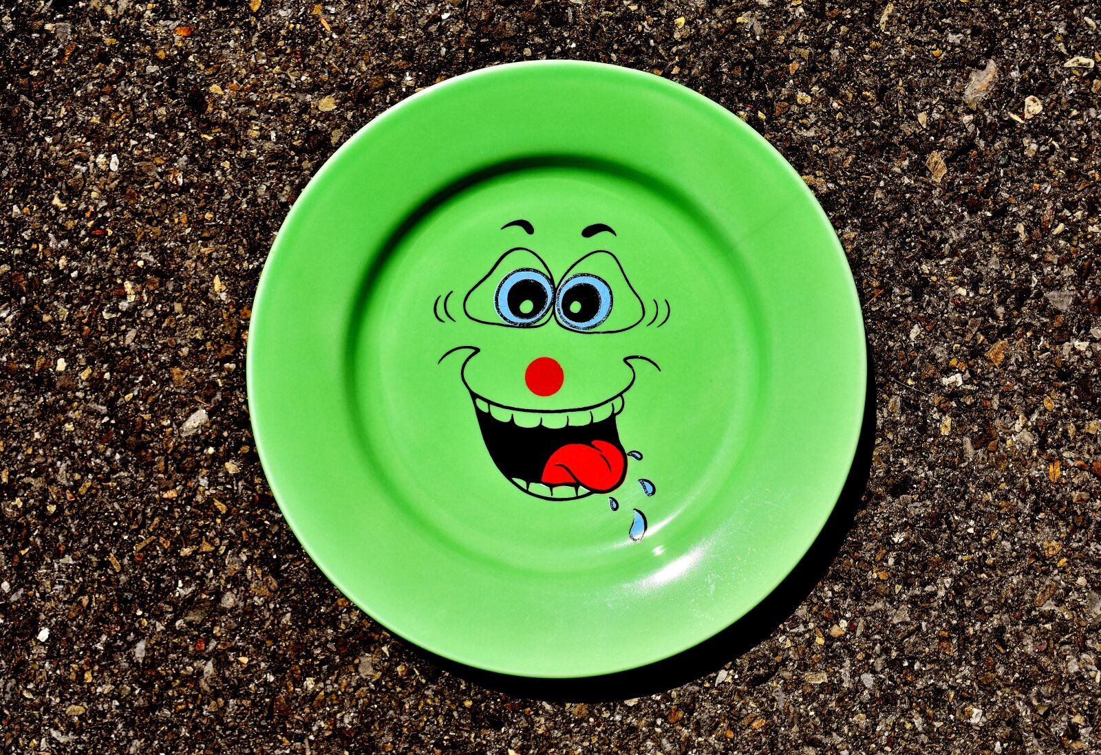 Nikon D7200 sample photo. Plate, tableware, smiley photography