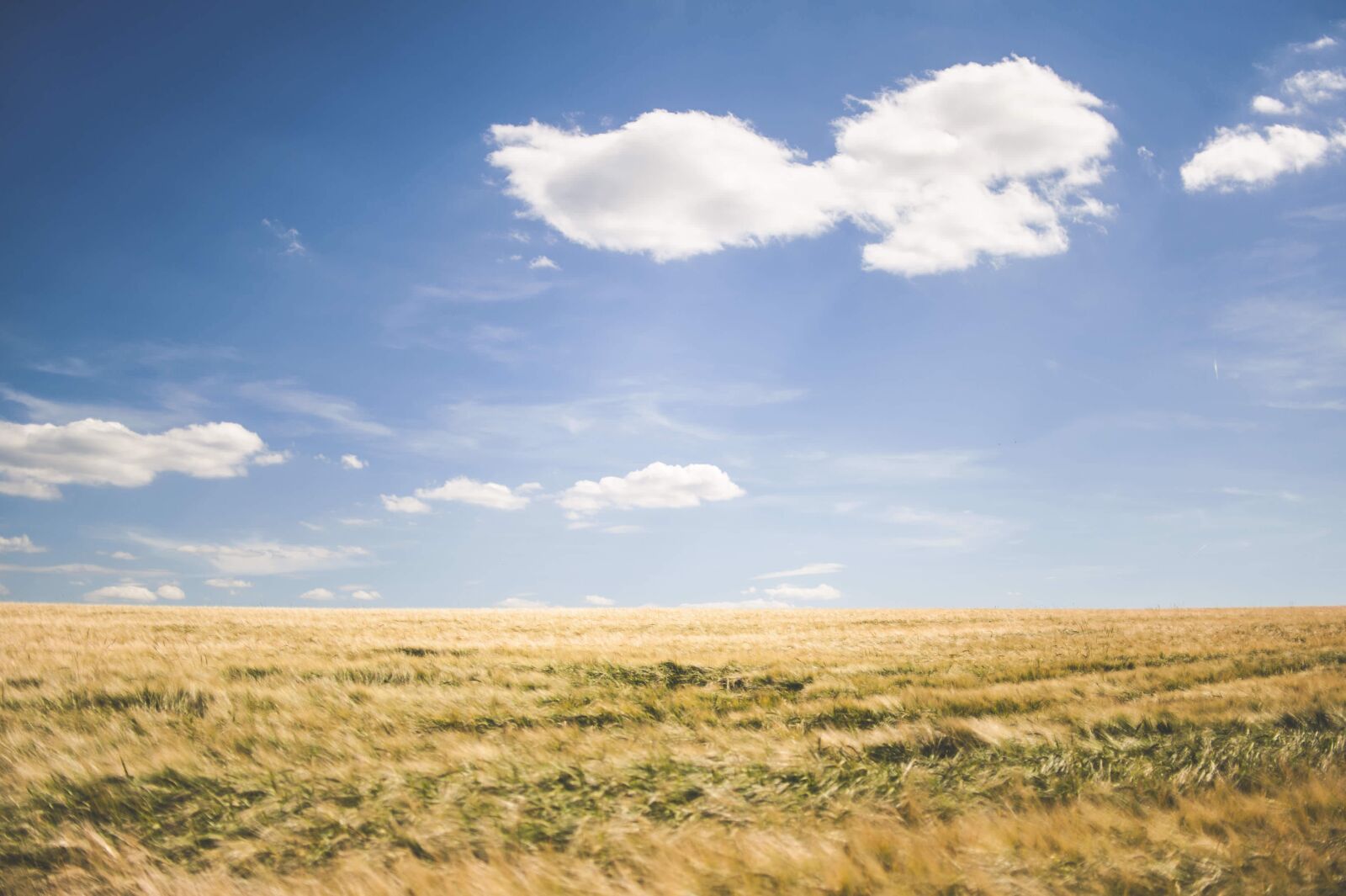 Nikon D700 sample photo. Countryside, farm, field photography