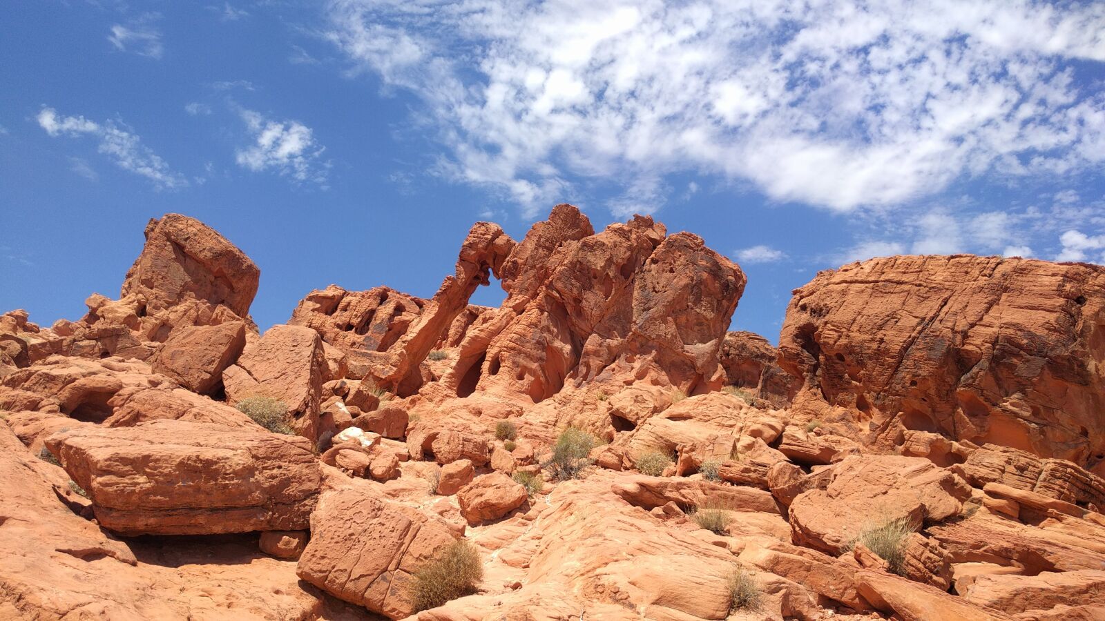 LG Nexus 5X sample photo. Valley of fire state photography
