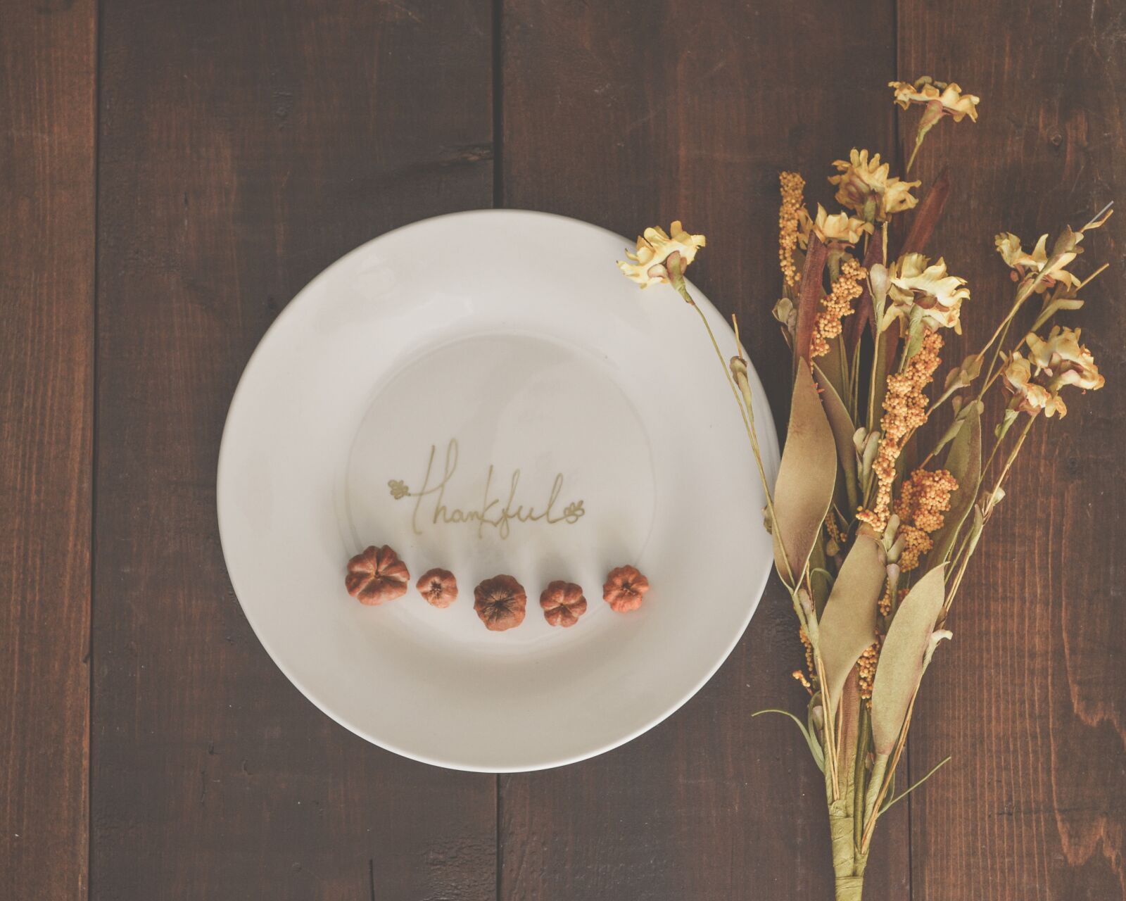 Nikon D5100 sample photo. Thanksgiving, nature, from above photography