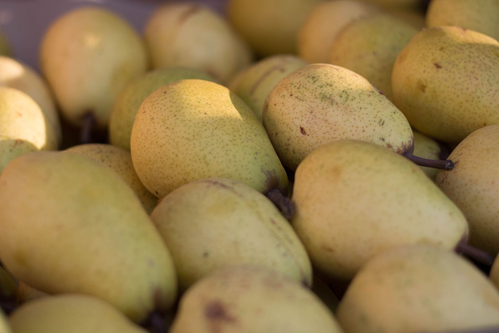 Canon EOS 70D + Canon EF 50mm F1.8 II sample photo. Peaches, fruits, fresh photography