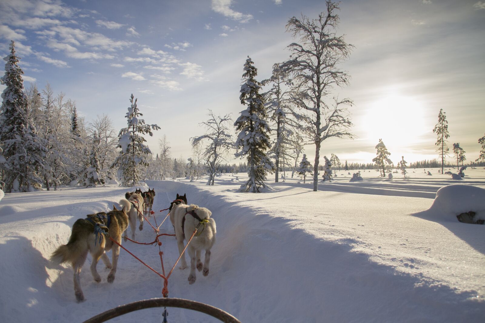 Canon EOS 7D sample photo. Finland, lapland, wintry photography