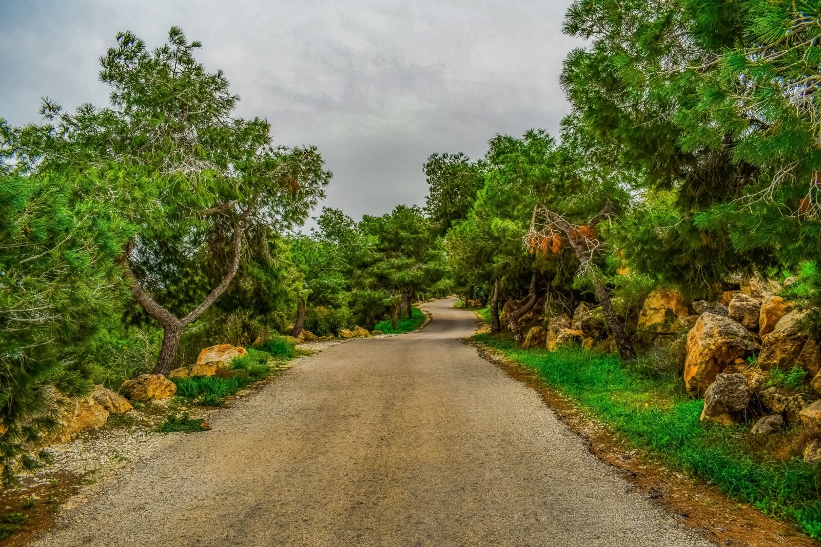 Nikon D3300 sample photo. Road, countryside, nature photography