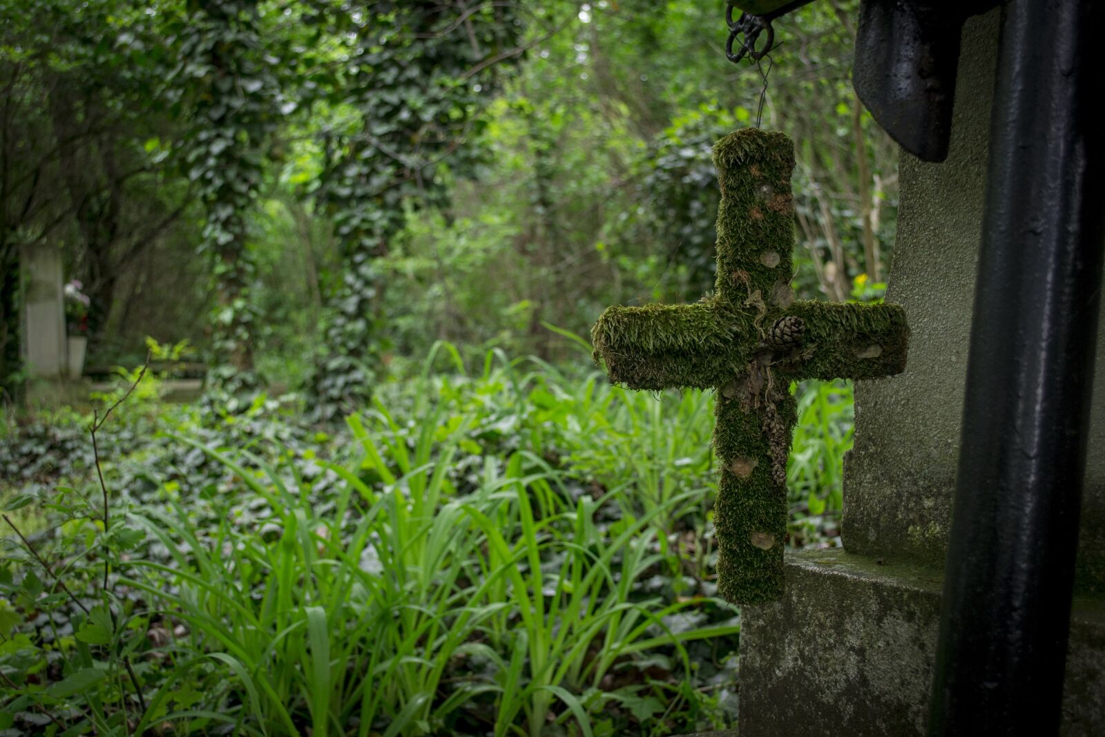 Nikon D3100 sample photo. Cemetery, cross, graves photography