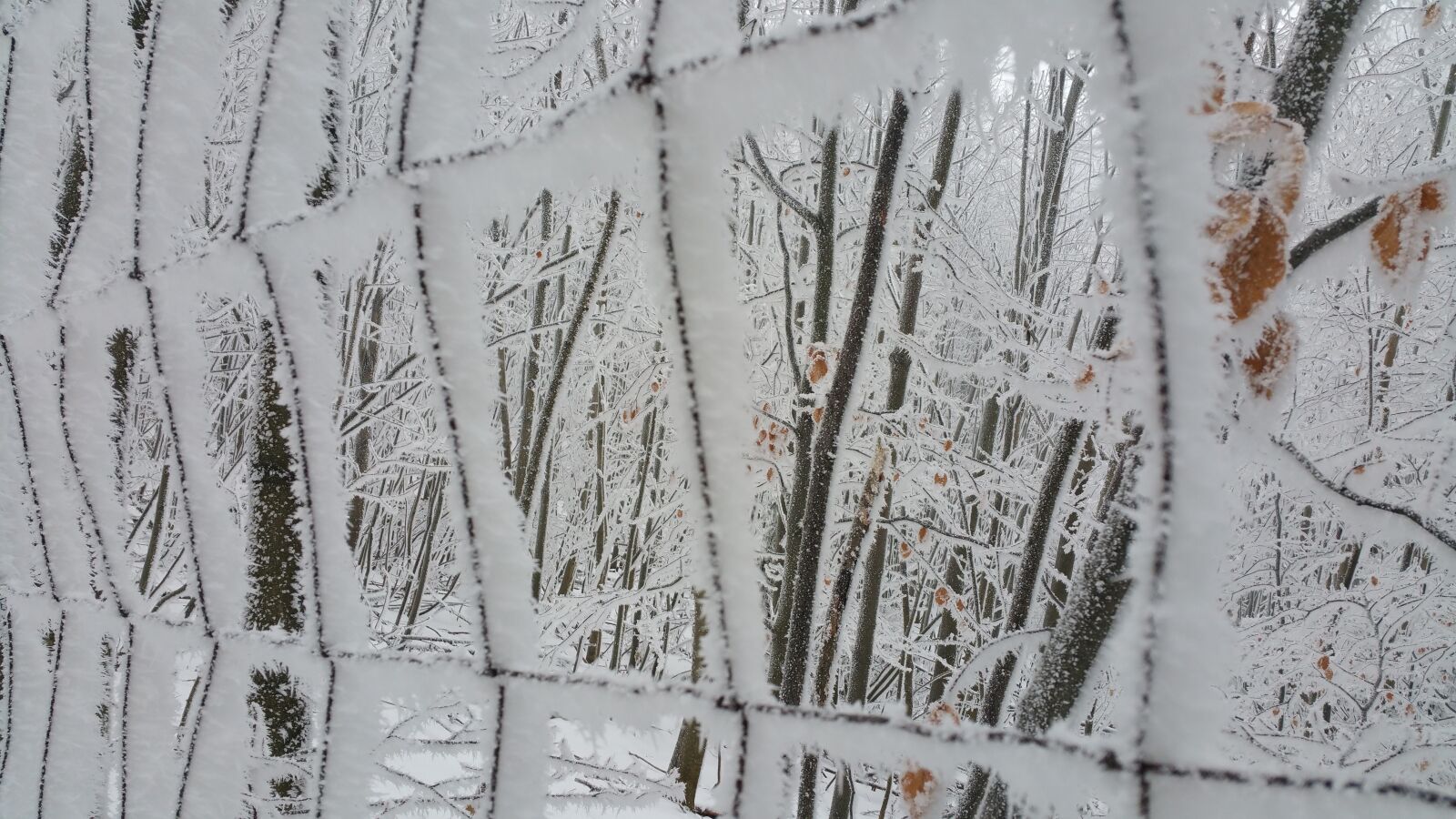 Samsung Galaxy Note4 sample photo. Pezinská baba, icing, winter photography