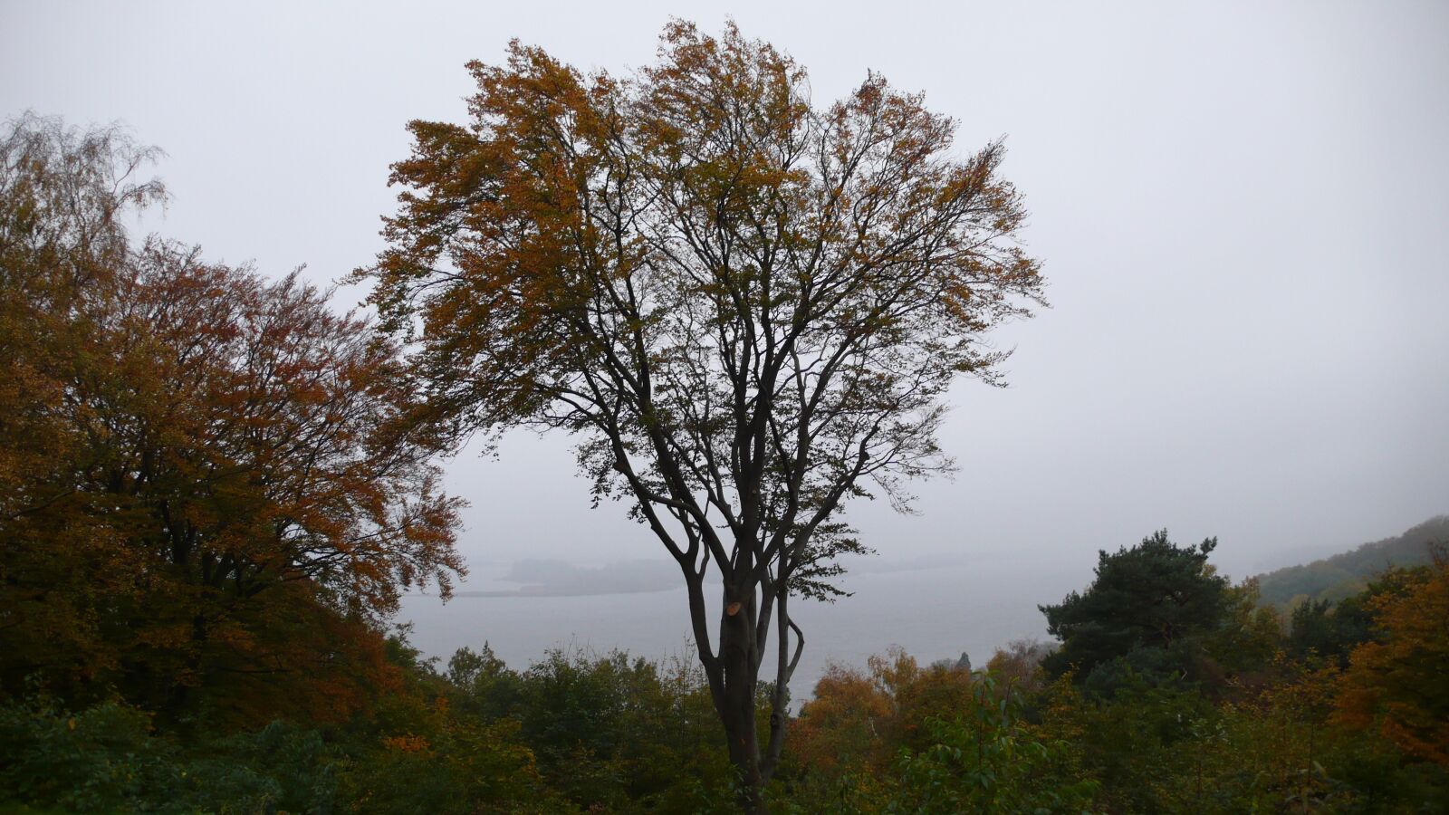 Panasonic DMC-LX2 sample photo. Tree, sky, autumn photography