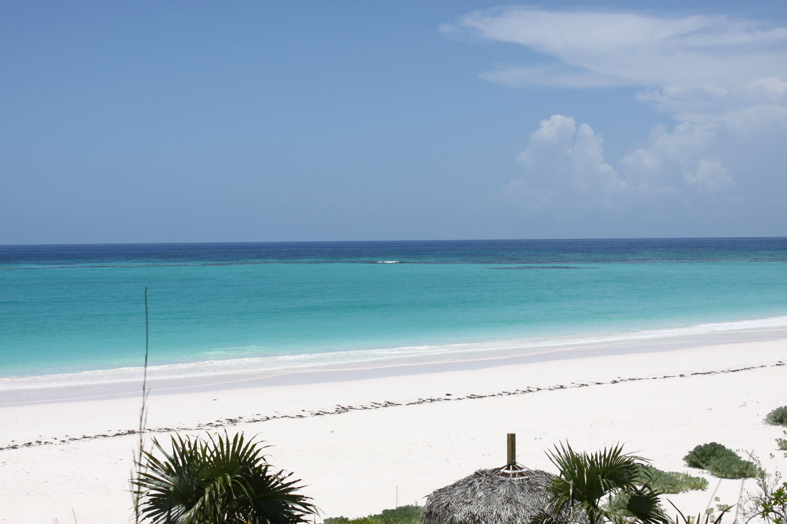 Canon EOS 50D + Canon EF-S 18-55mm F3.5-5.6 IS sample photo. Bahamas, beach, green, ocean photography