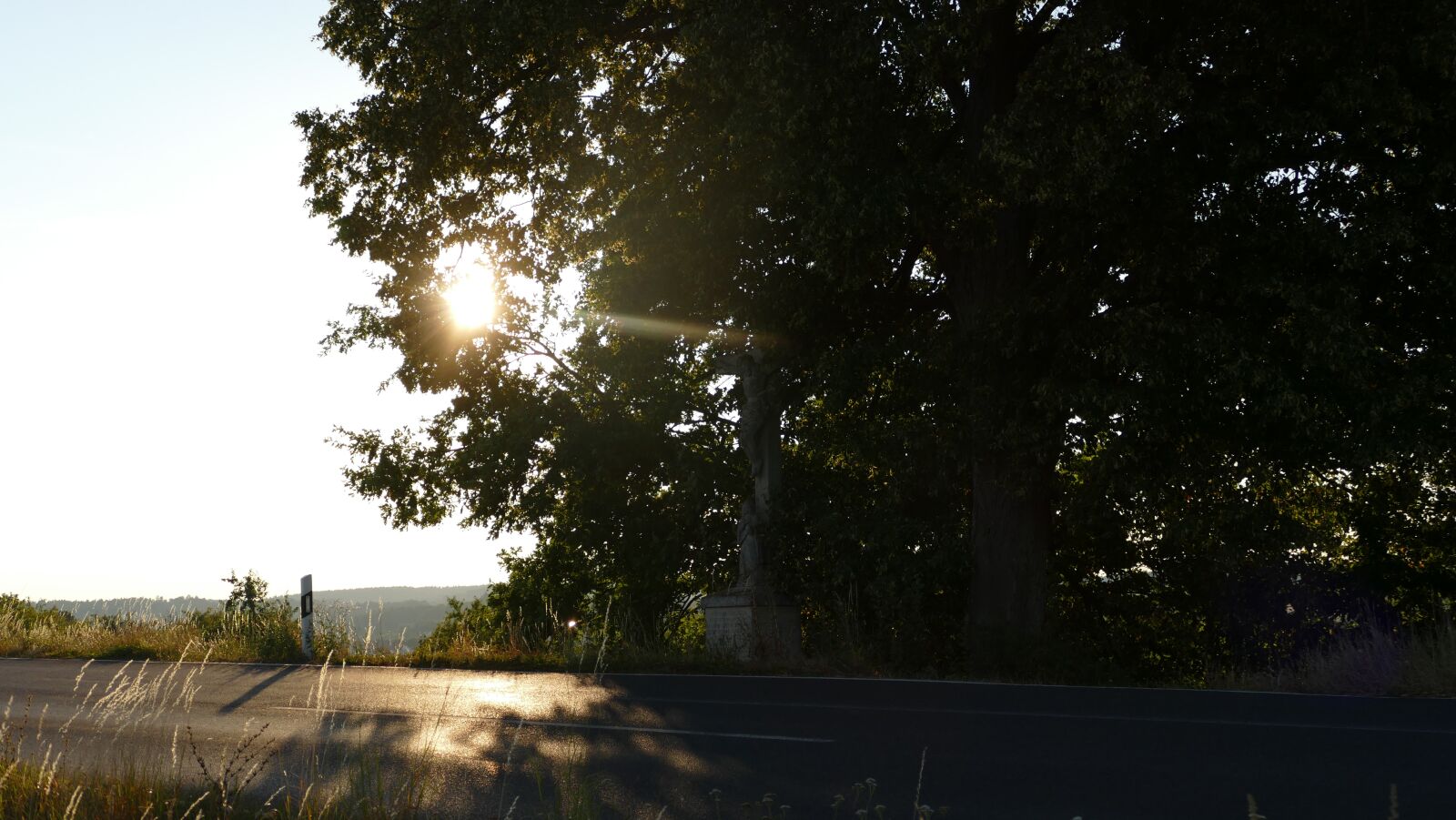 Panasonic Lumix DMC-FZ1000 sample photo. Tree, sun, cross photography
