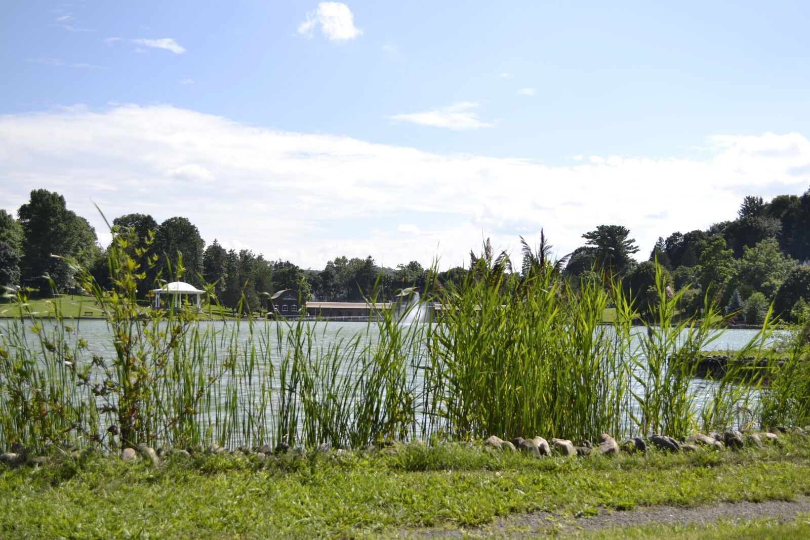 Nikon D3100 sample photo. Outdoors, summer, nature photography