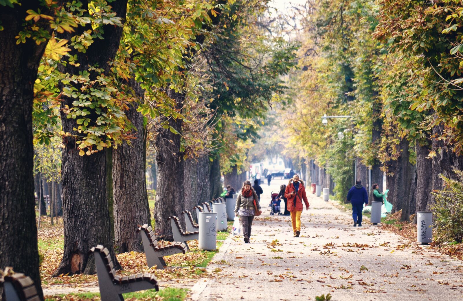 Nikon D3100 sample photo. Park, path, road photography