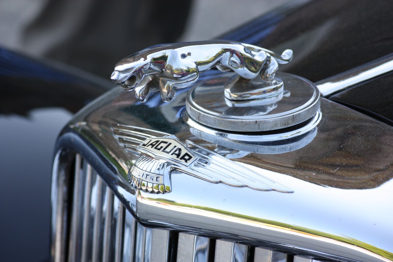 Canon EOS 450D (EOS Rebel XSi / EOS Kiss X2) sample photo. Jaguar, cool figure, oldtimer photography