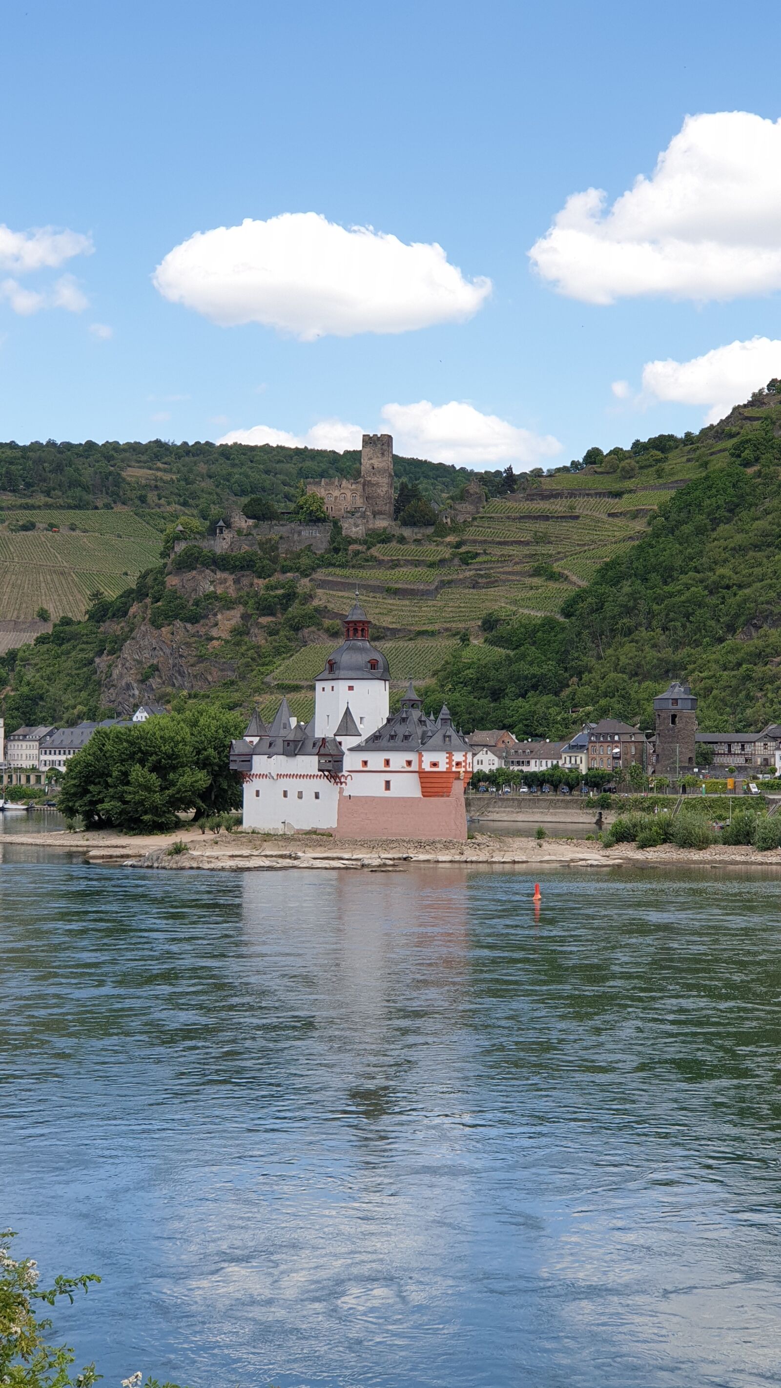 Samsung Galaxy Note9 sample photo. Castle, vineyards, rhine photography