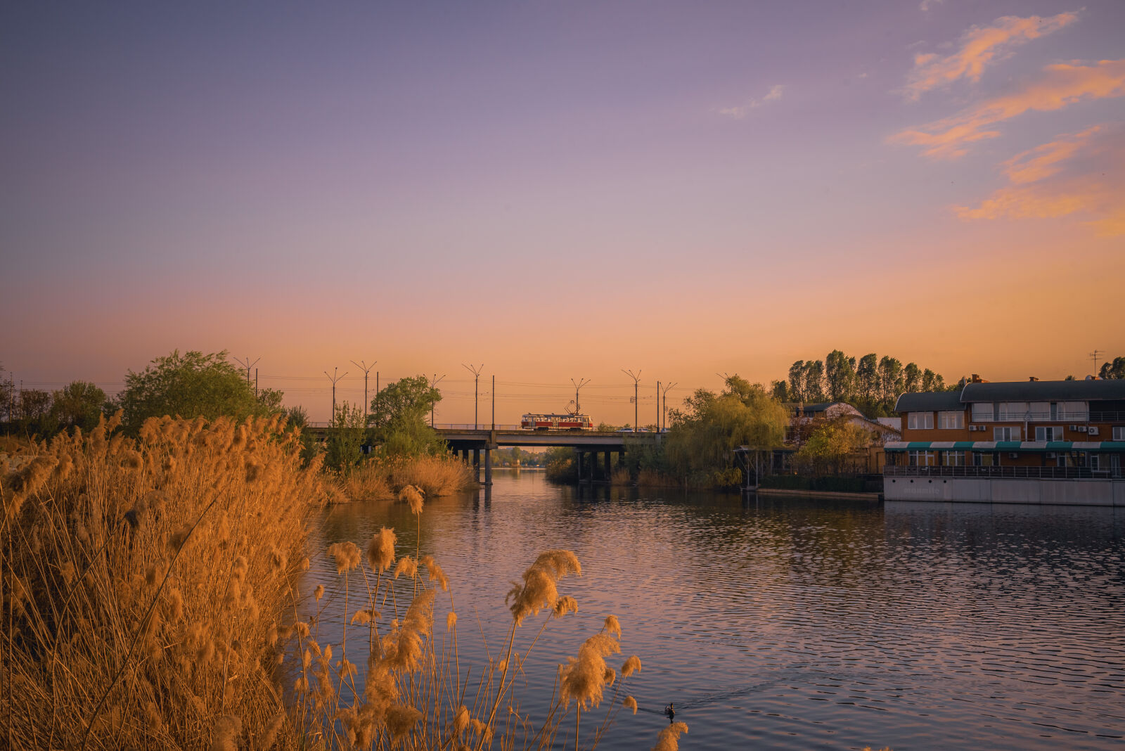 Nikon D750 sample photo