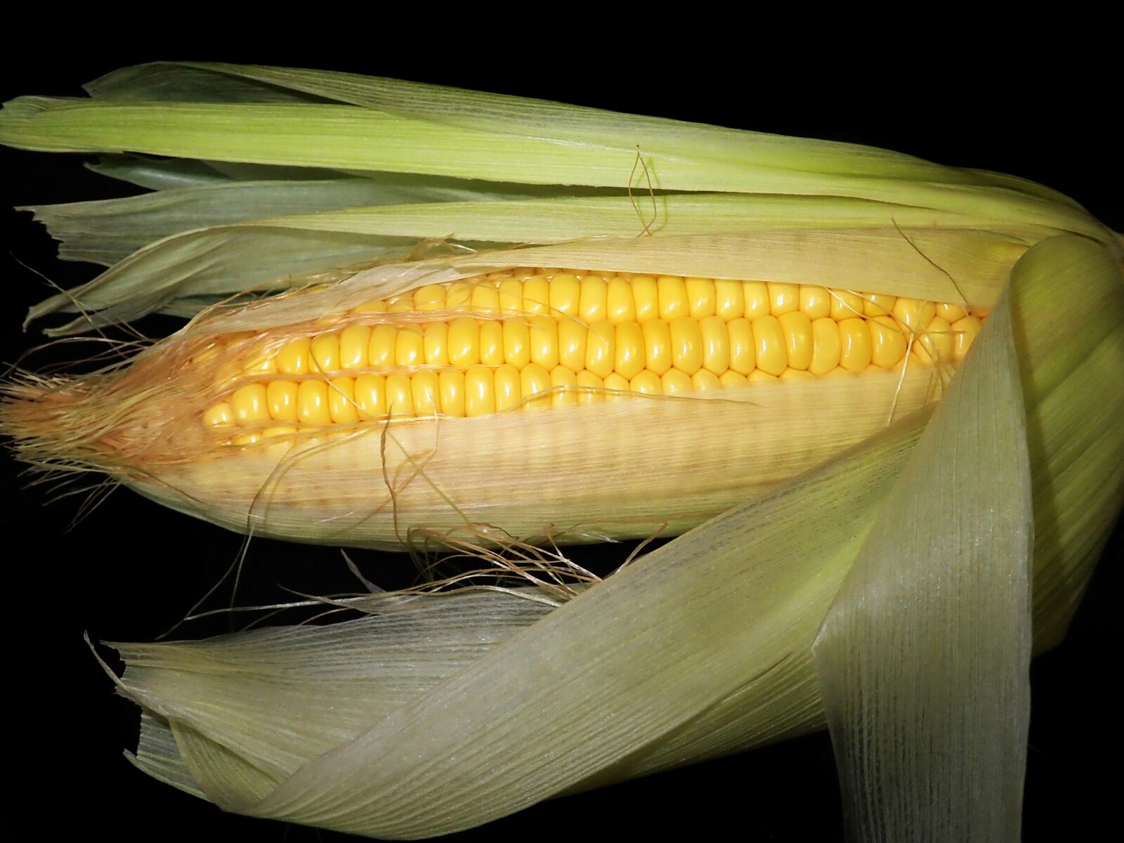 Olympus TG-5 sample photo. Corn, sweet, vegetable photography