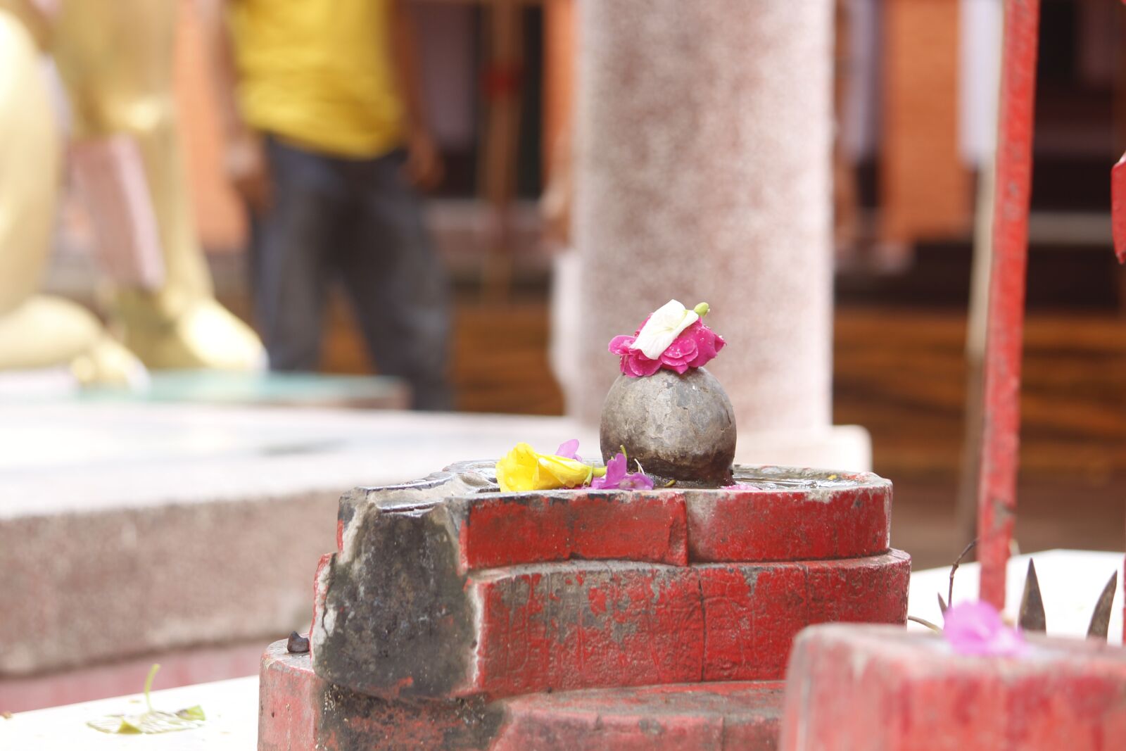 Canon EOS 700D (EOS Rebel T5i / EOS Kiss X7i) sample photo. Lotah, religion, flower photography