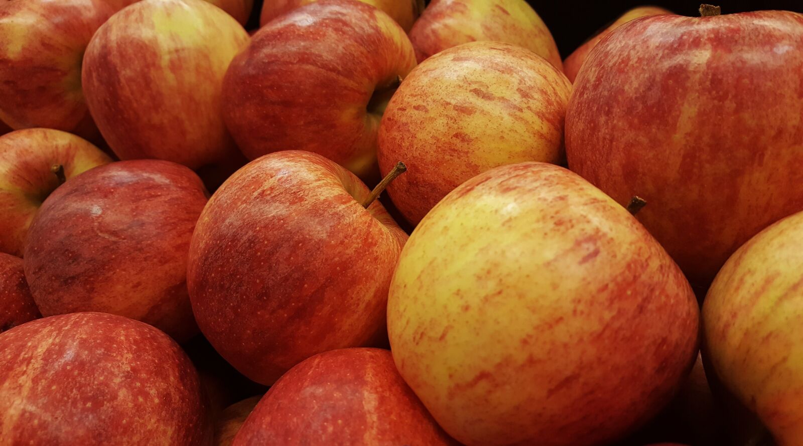 Samsung Galaxy Note5 sample photo. Apples, gala apples, fruit photography