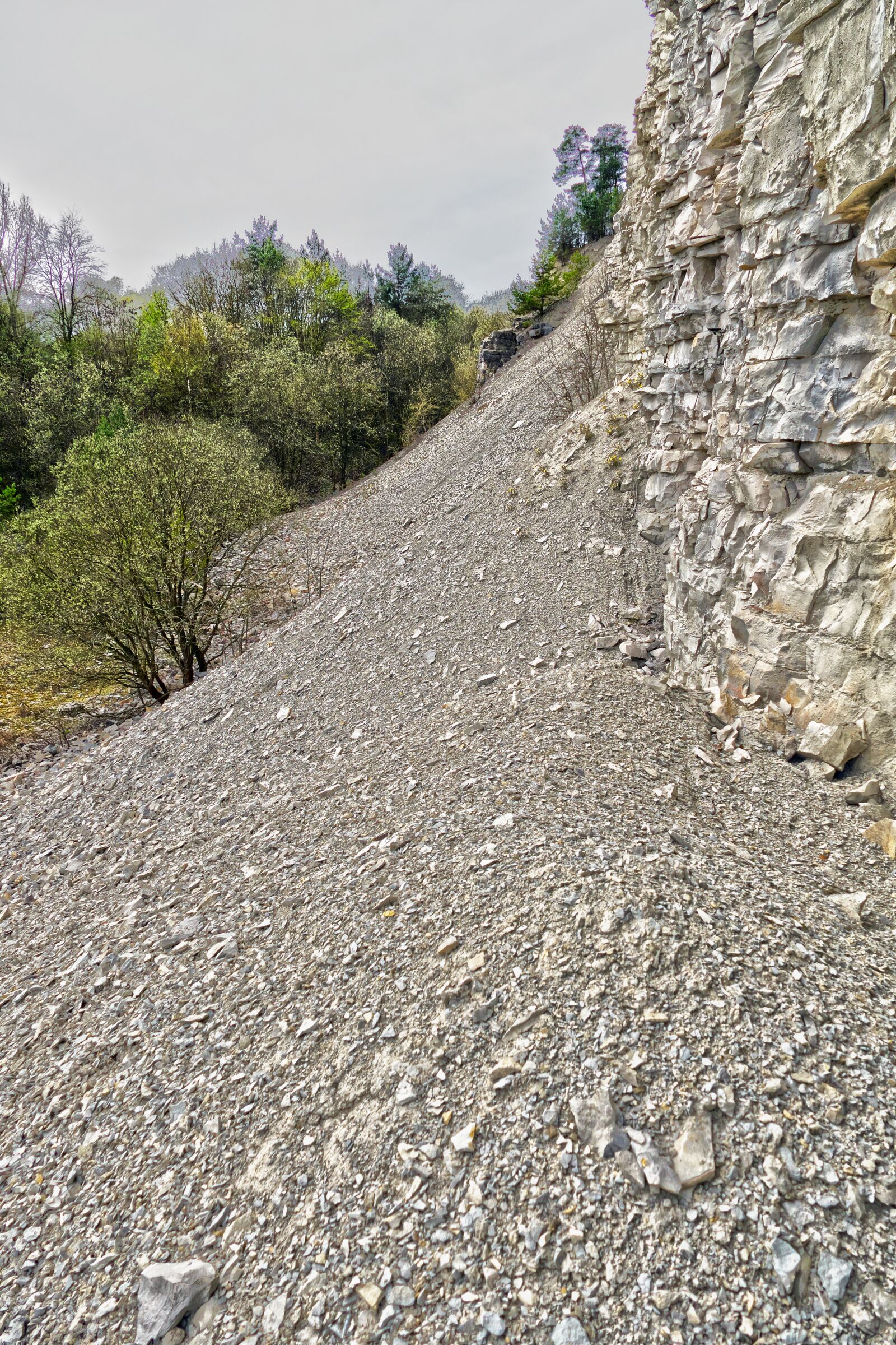Panasonic Lumix DMC-FZ1000 sample photo. Quarry, trees, rock photography