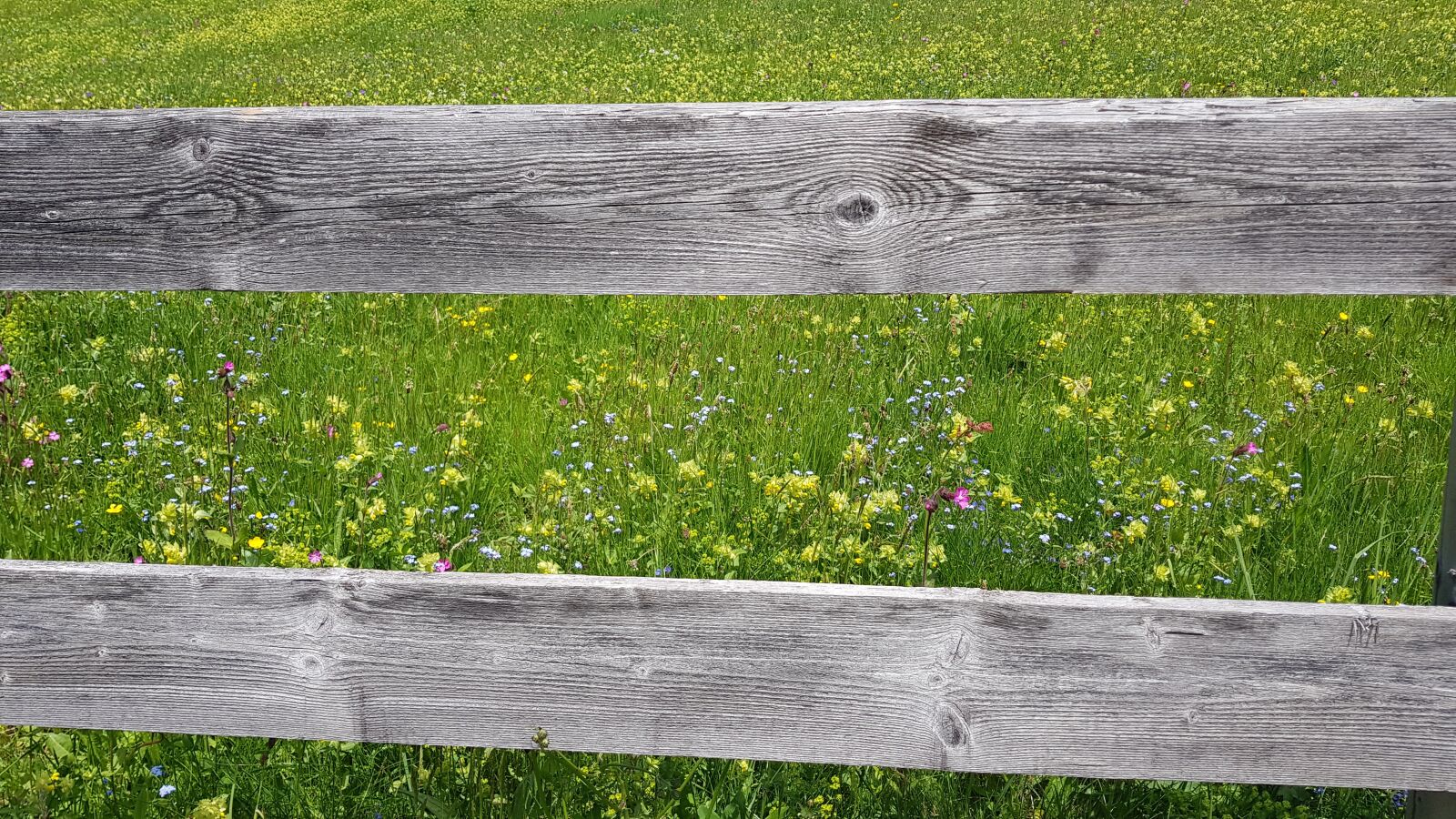Samsung Galaxy S8 sample photo. Fence, limit, demarcation photography