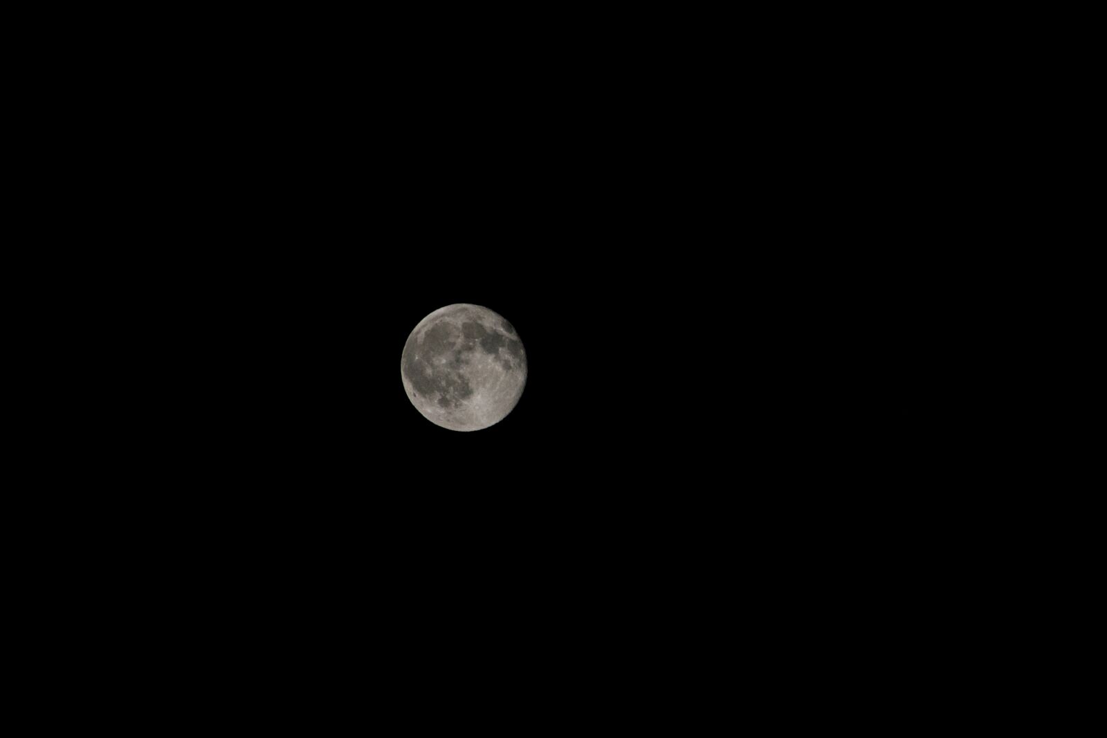 Nikon D5500 sample photo. Night, full moon, night photography