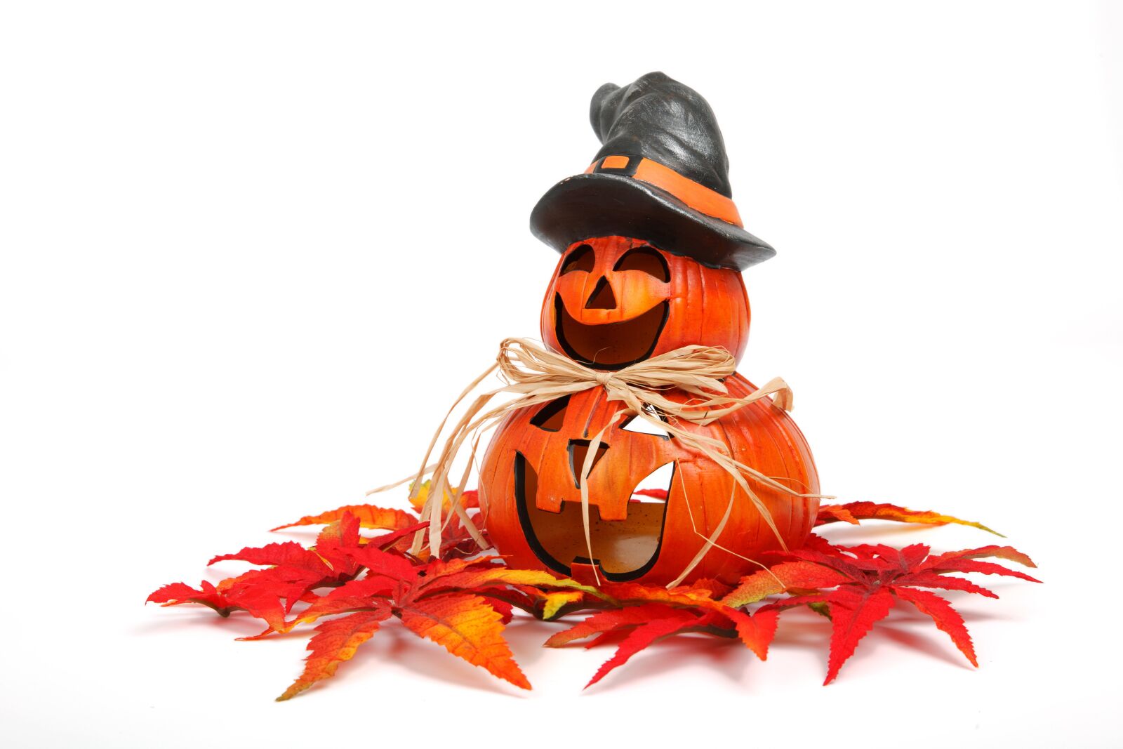 Canon EOS 5D Mark II sample photo. Autumn, decoration, face, fall photography