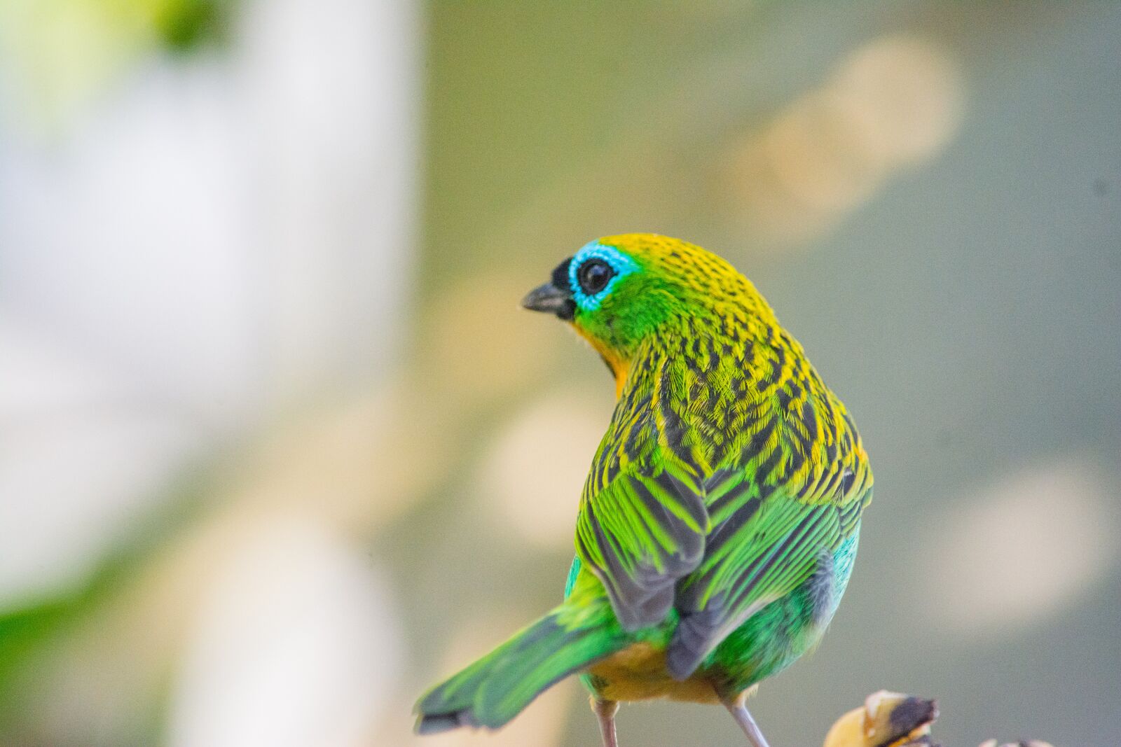 Nikon D7100 sample photo. Came out of the-the photography