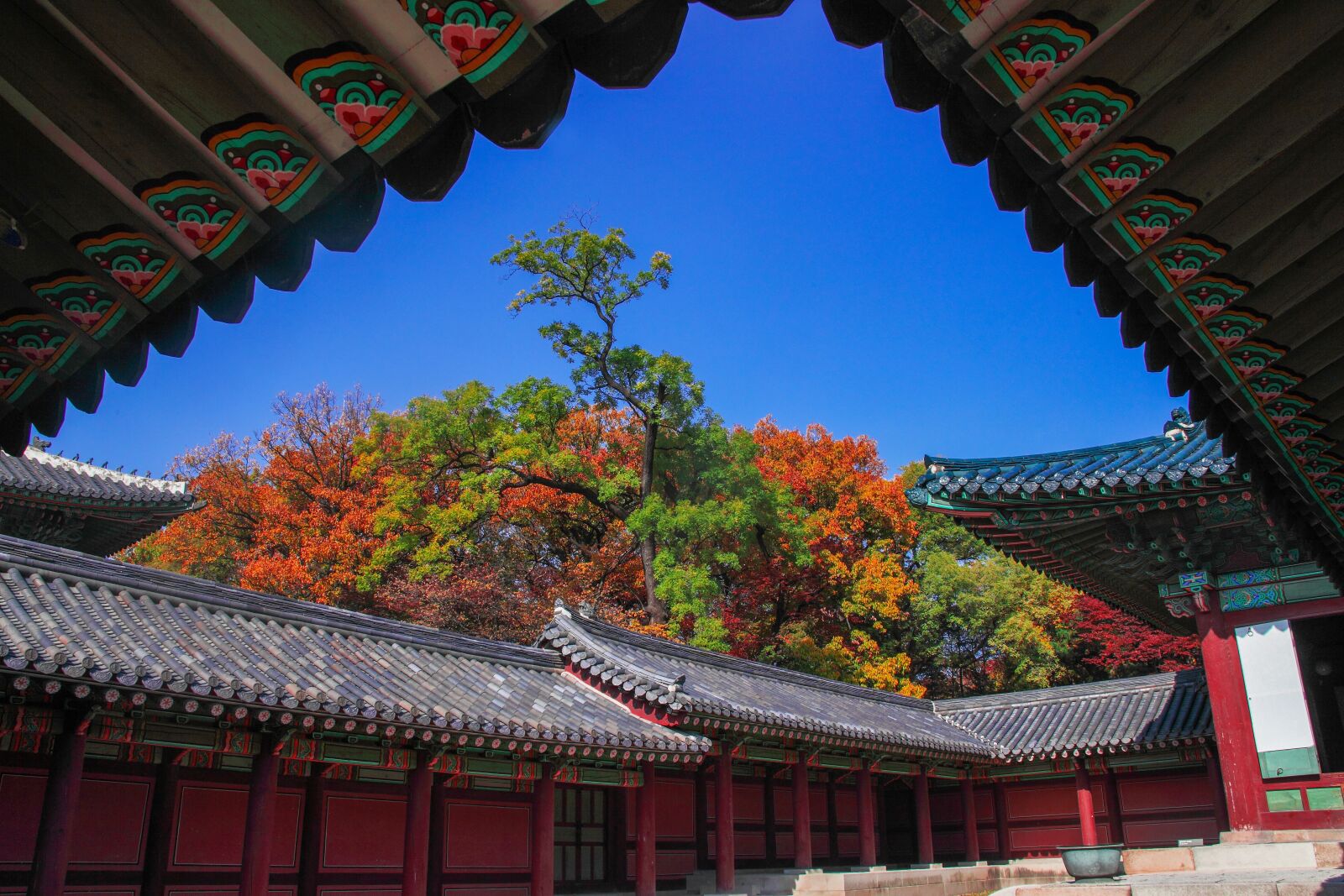 Canon EOS 5D Mark II sample photo. Changdeokgung, secret garden, forbidden photography