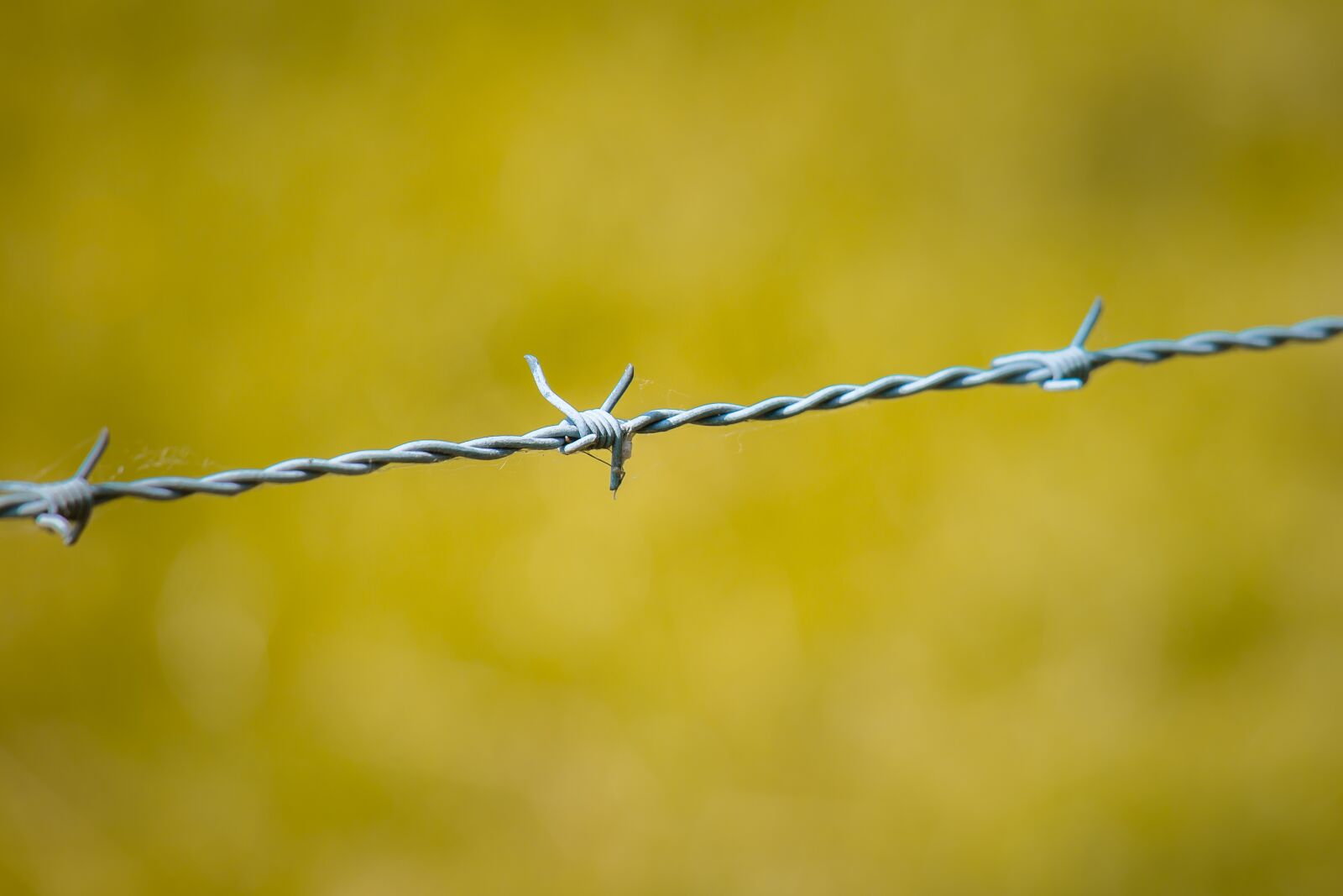 Samsung NX 50-200mm F4-5.6 ED OIS sample photo. Barbed wire, fence, wire photography