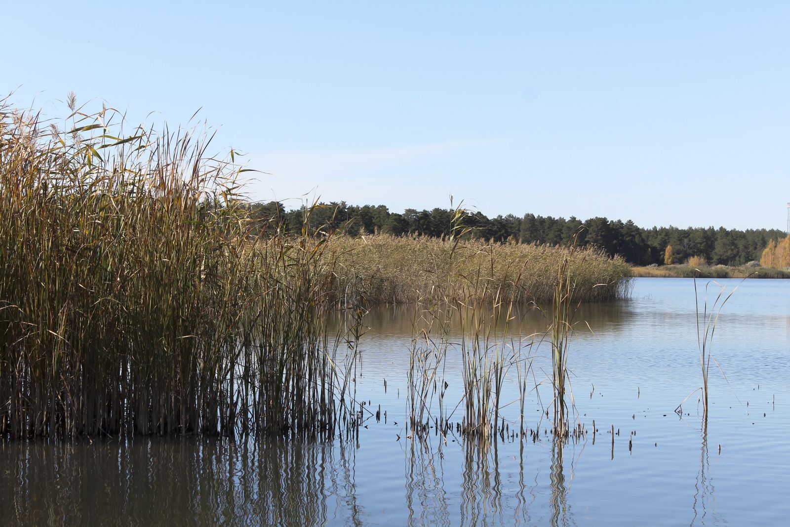 Canon EOS 600D (Rebel EOS T3i / EOS Kiss X5) sample photo. Beach, lake, grass photography