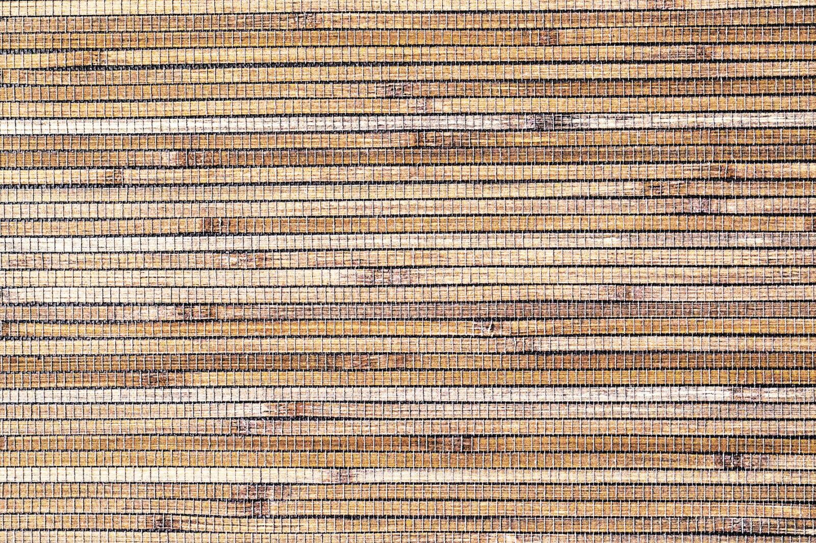 Nikon D3200 sample photo. Texture, plants, carpet photography