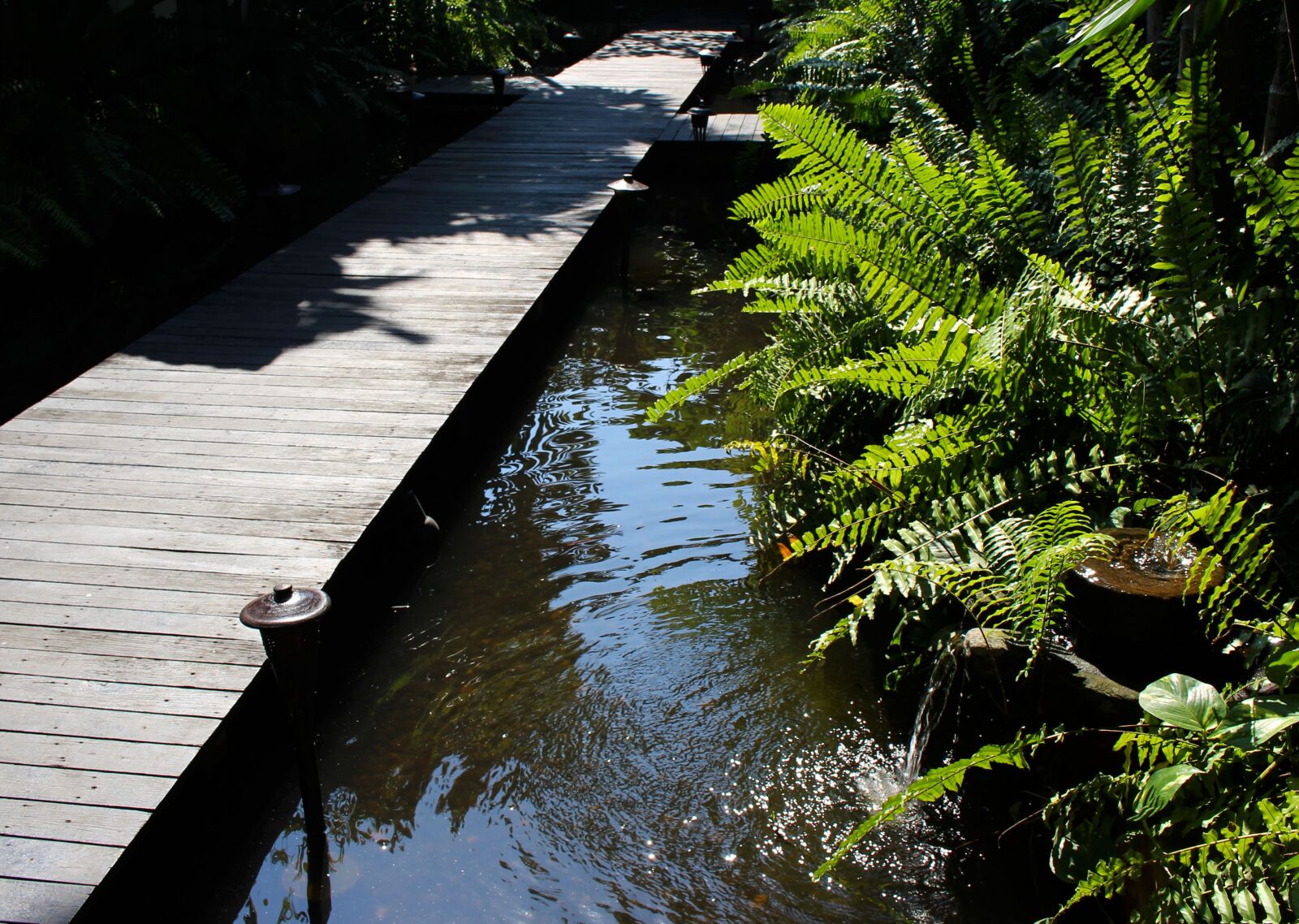 Canon EOS 700D (EOS Rebel T5i / EOS Kiss X7i) sample photo. Bridge, walkway, nature photography