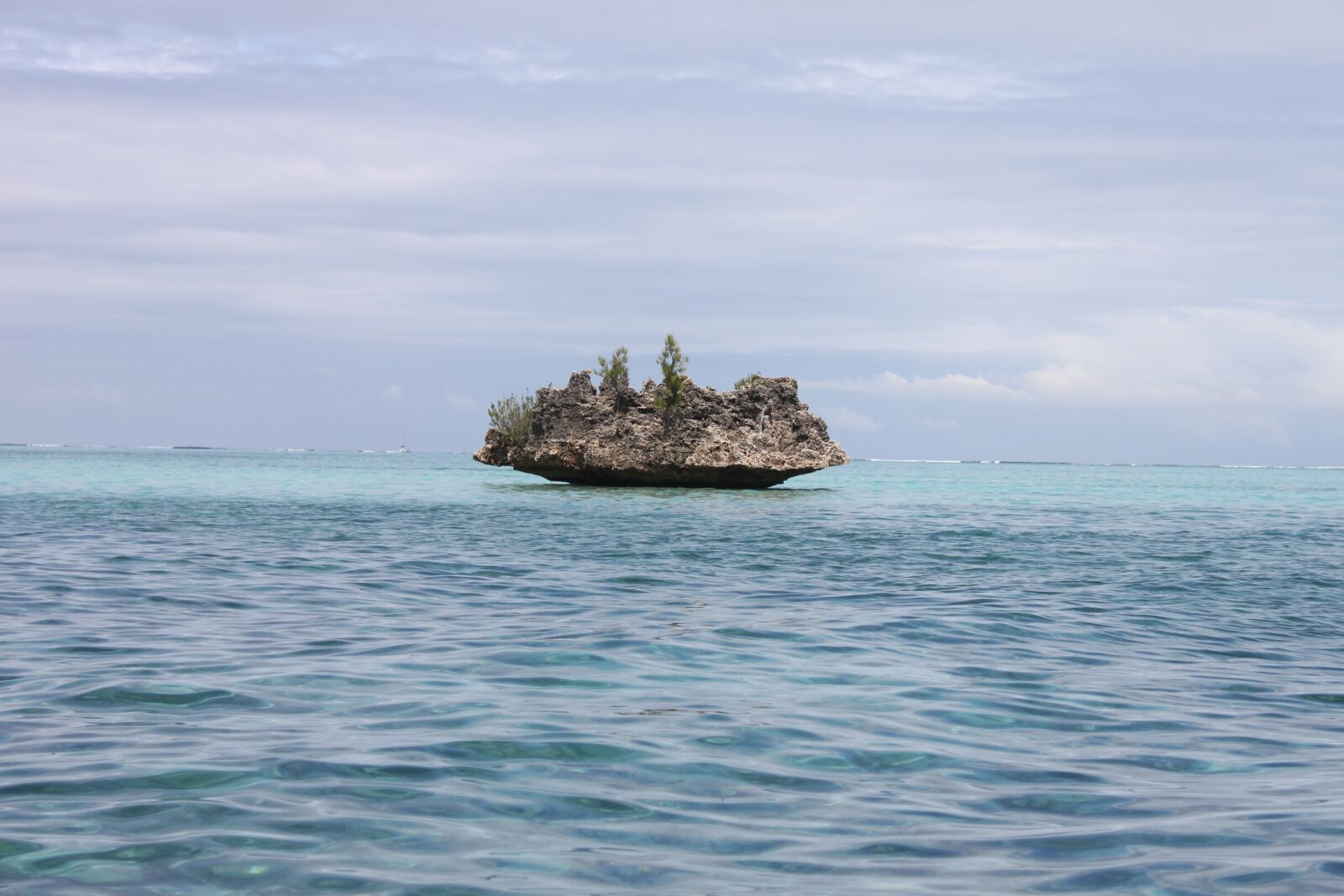 Canon EOS 500D (EOS Rebel T1i / EOS Kiss X3) sample photo. Little rock, indian ocean photography