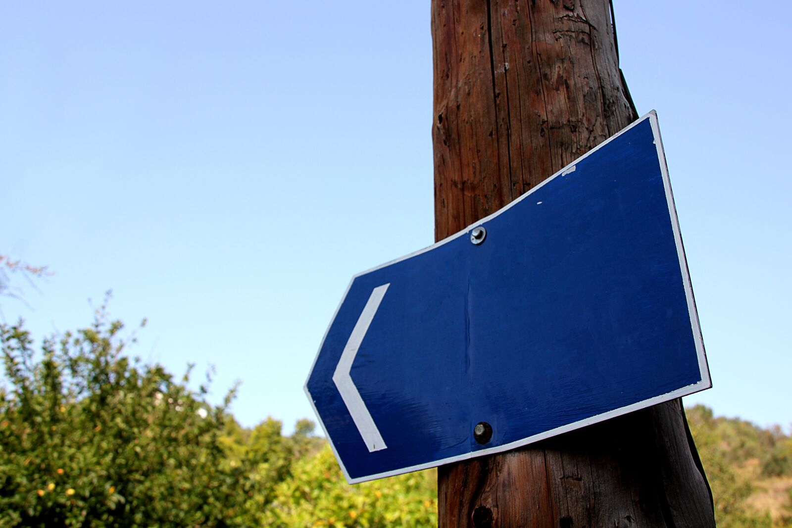 Canon EOS 550D (EOS Rebel T2i / EOS Kiss X4) sample photo. Shield, blue, road sign photography