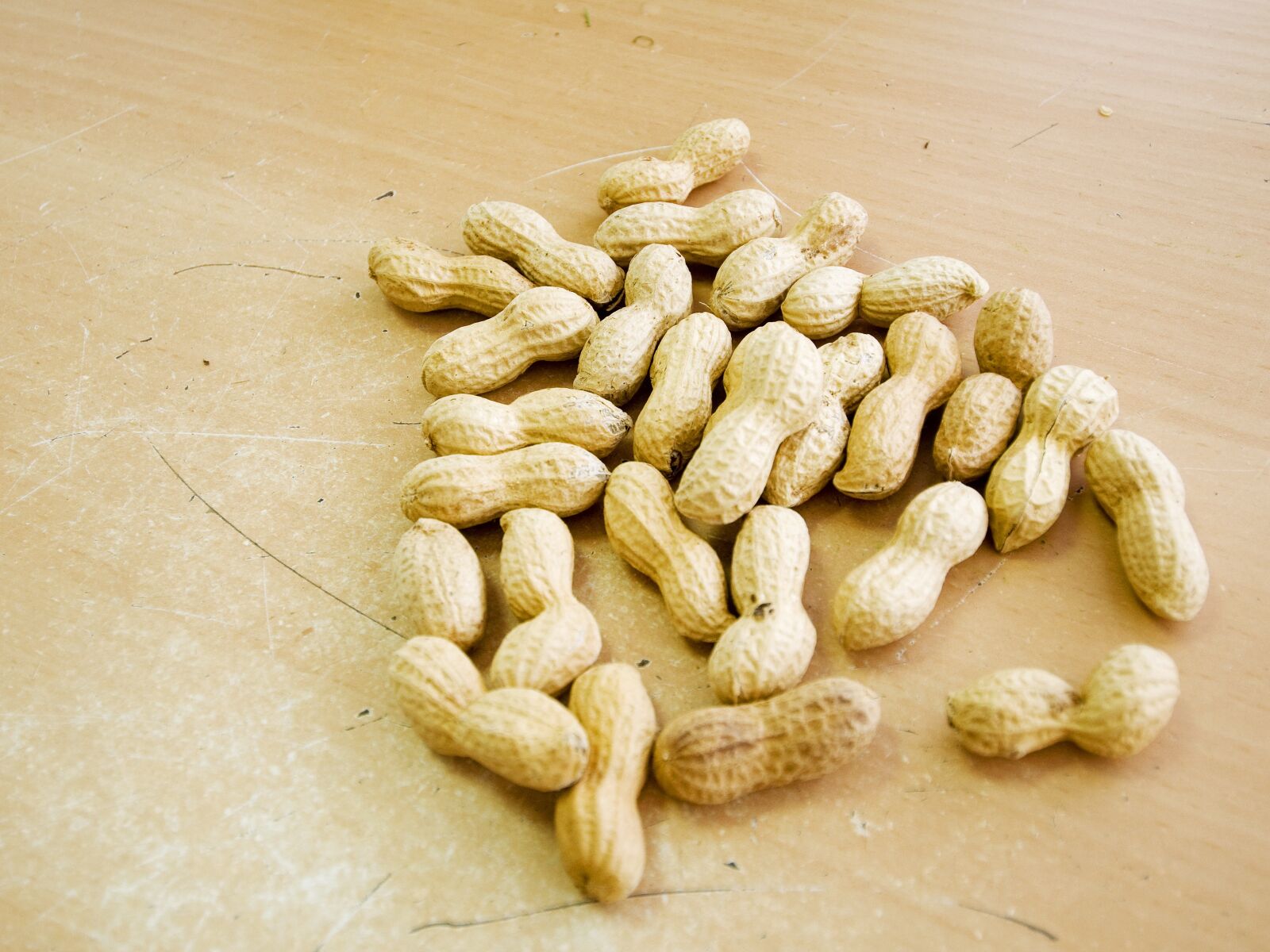 Nikon D90 sample photo. Peanuts, macro, eat photography