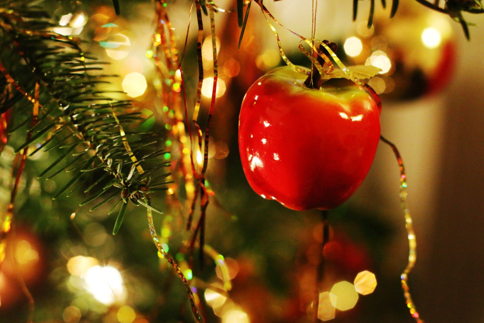 Canon EOS 70D sample photo. Bokeh, christmas, light photography