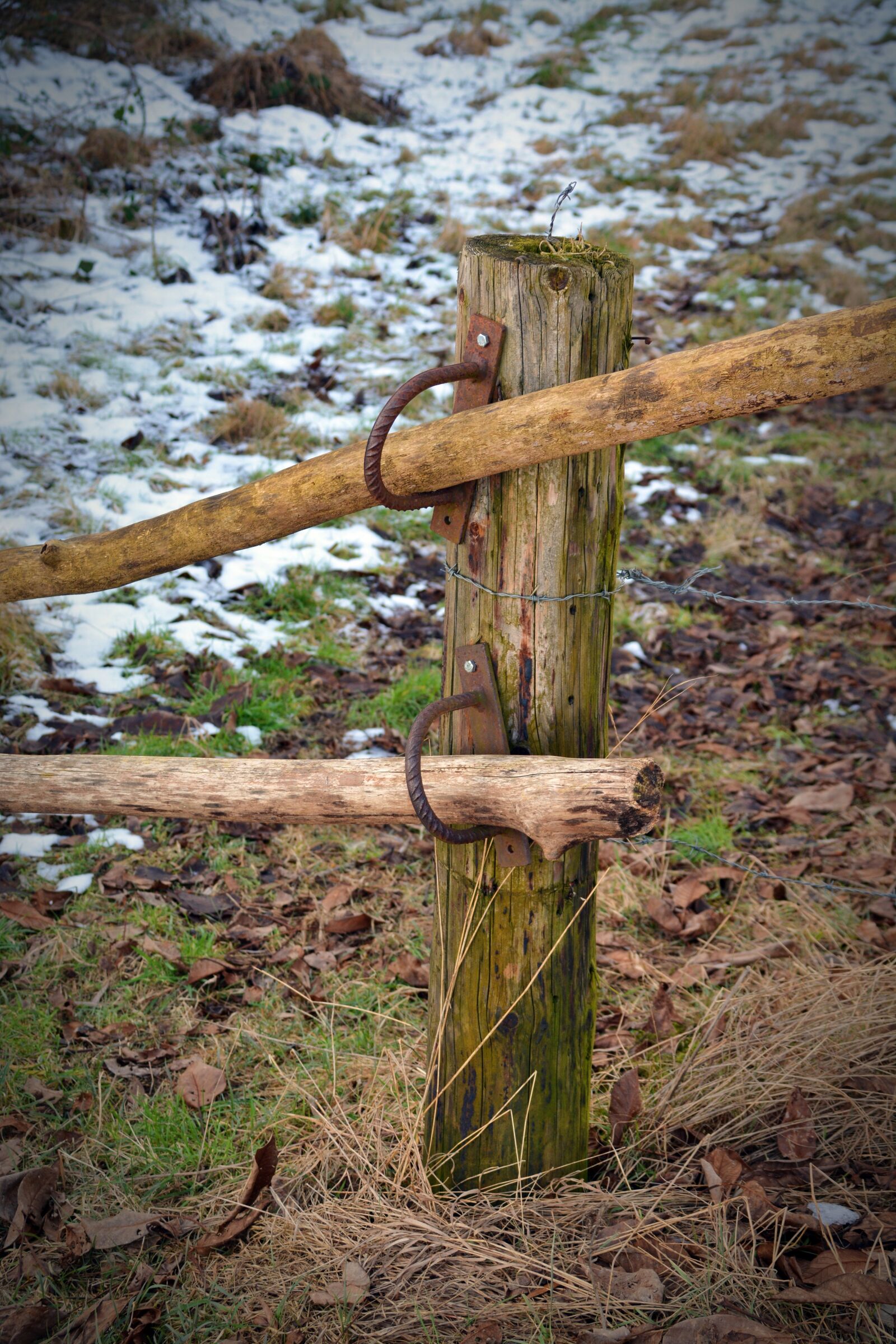 Nikon D5200 sample photo. Fence, wood, weathered photography
