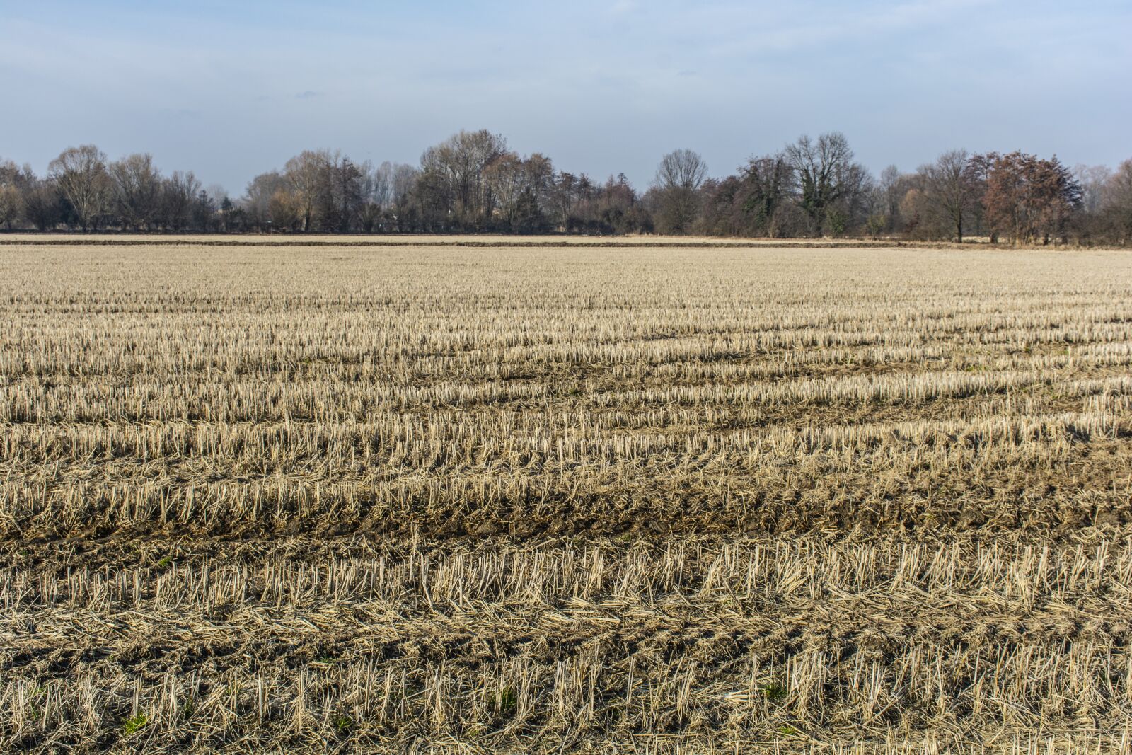 Nikon D7100 sample photo. Campaign, winter, landscape photography