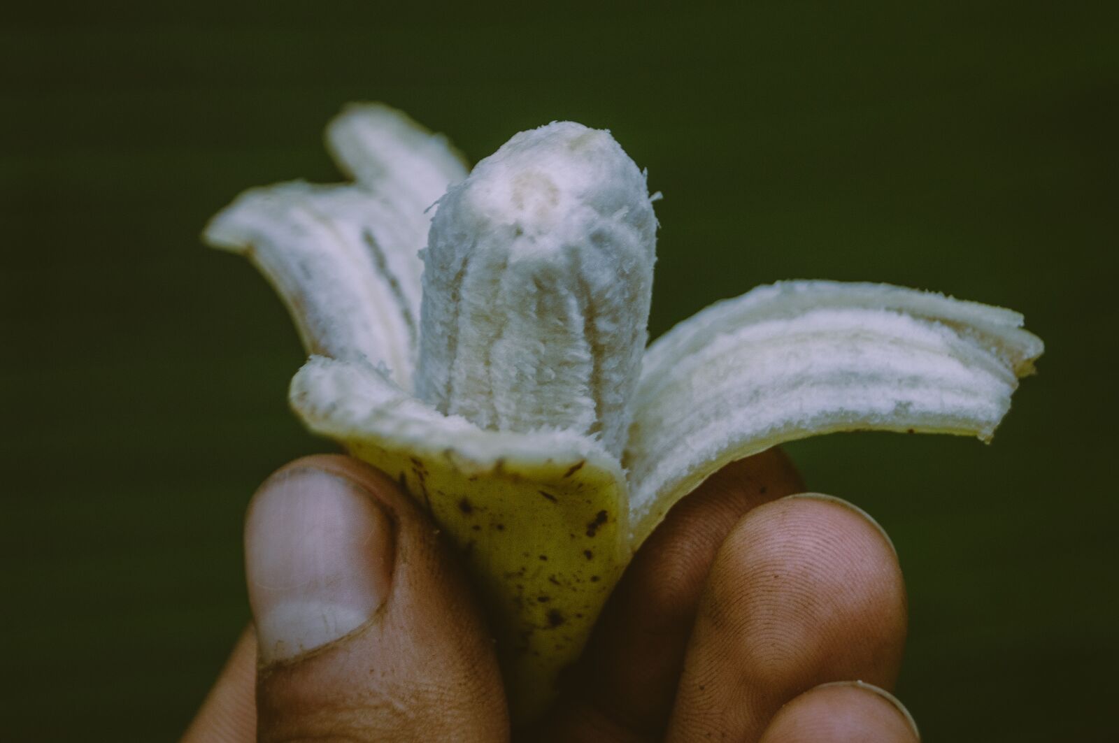 Sony SLT-A37 sample photo. Banana, fruit, macro photography