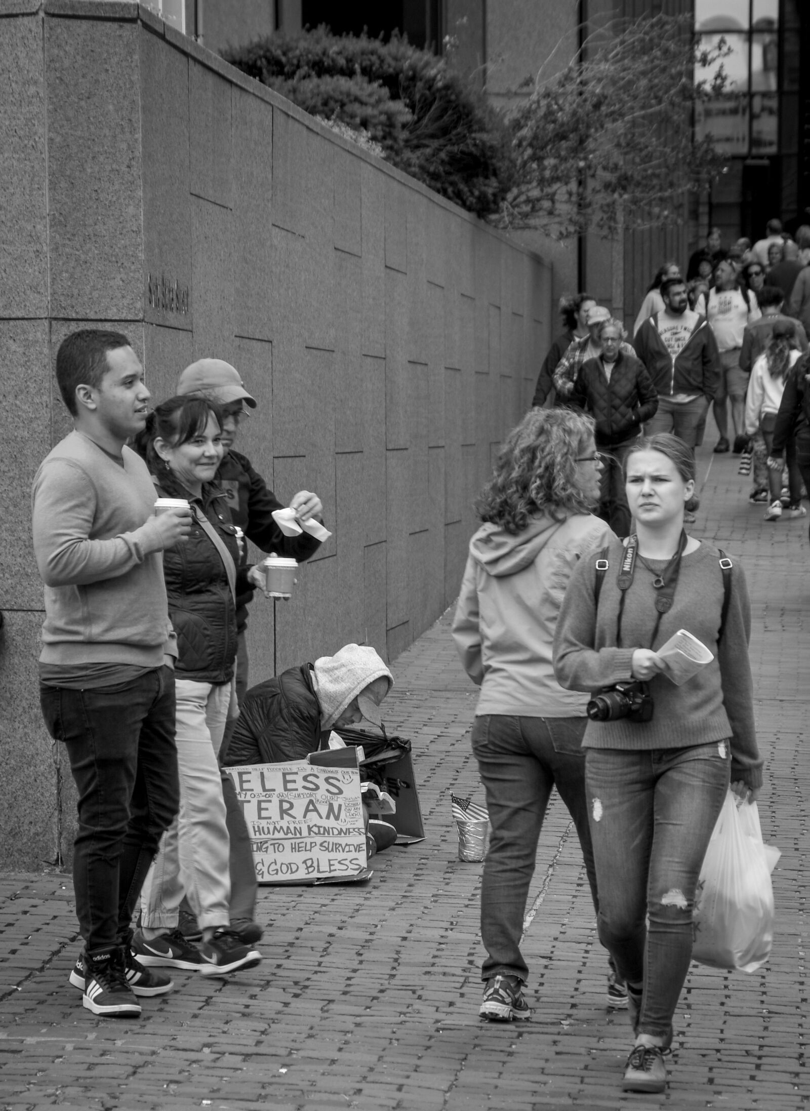 Nikon D500 sample photo. Lonely, begging, loneliness photography