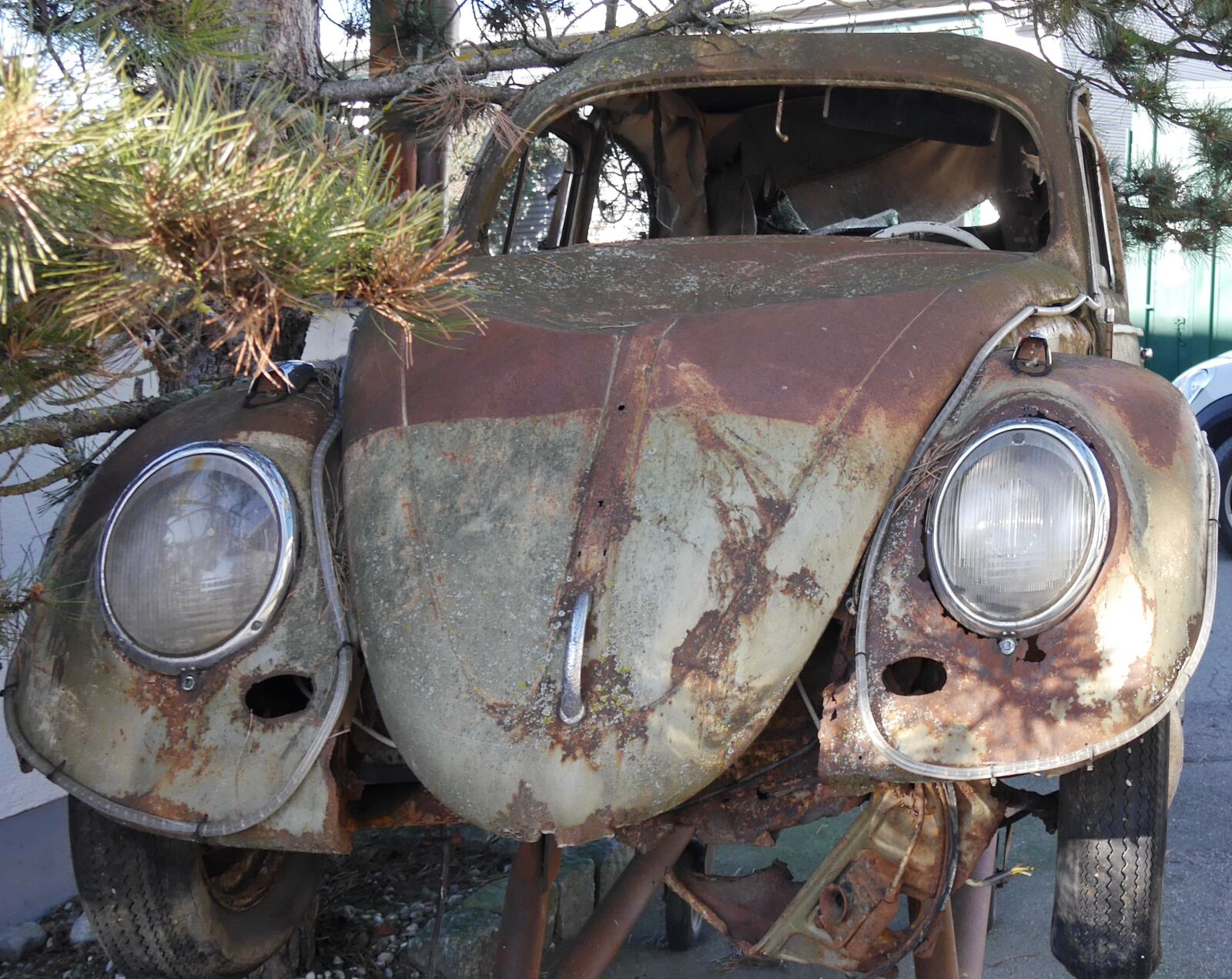 Panasonic Lumix DMC-G6 sample photo. Vw beetle, volkswagen, vw photography