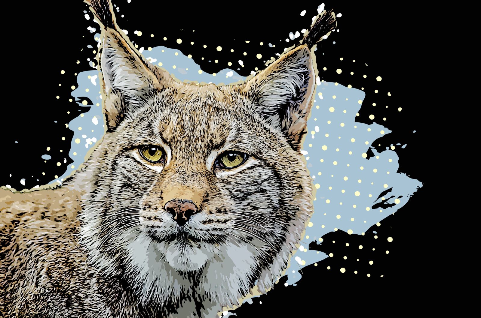 Nikon D7000 sample photo. Lynx, animal, mammal photography