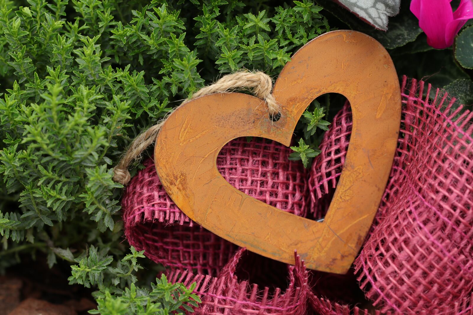 Canon EF 100mm F2.8L Macro IS USM sample photo. Heart, love, valentine photography